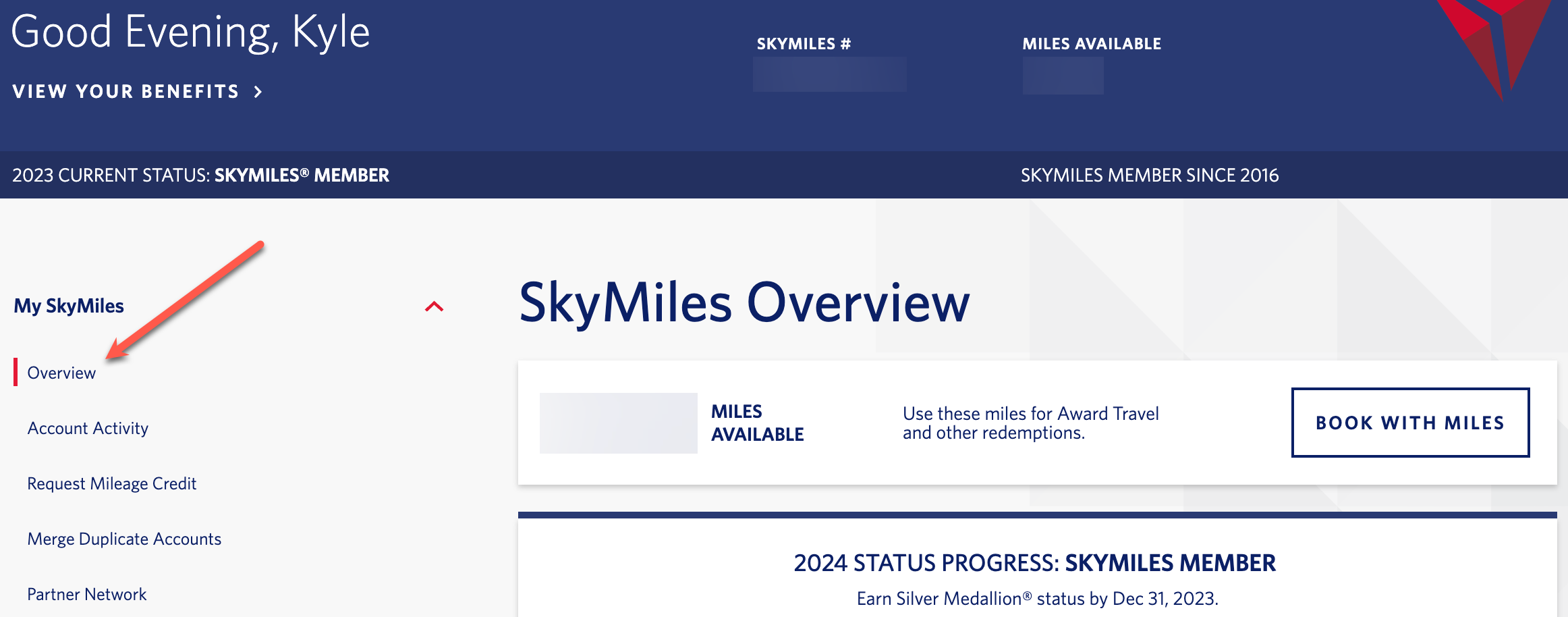 SkyMiles homepage