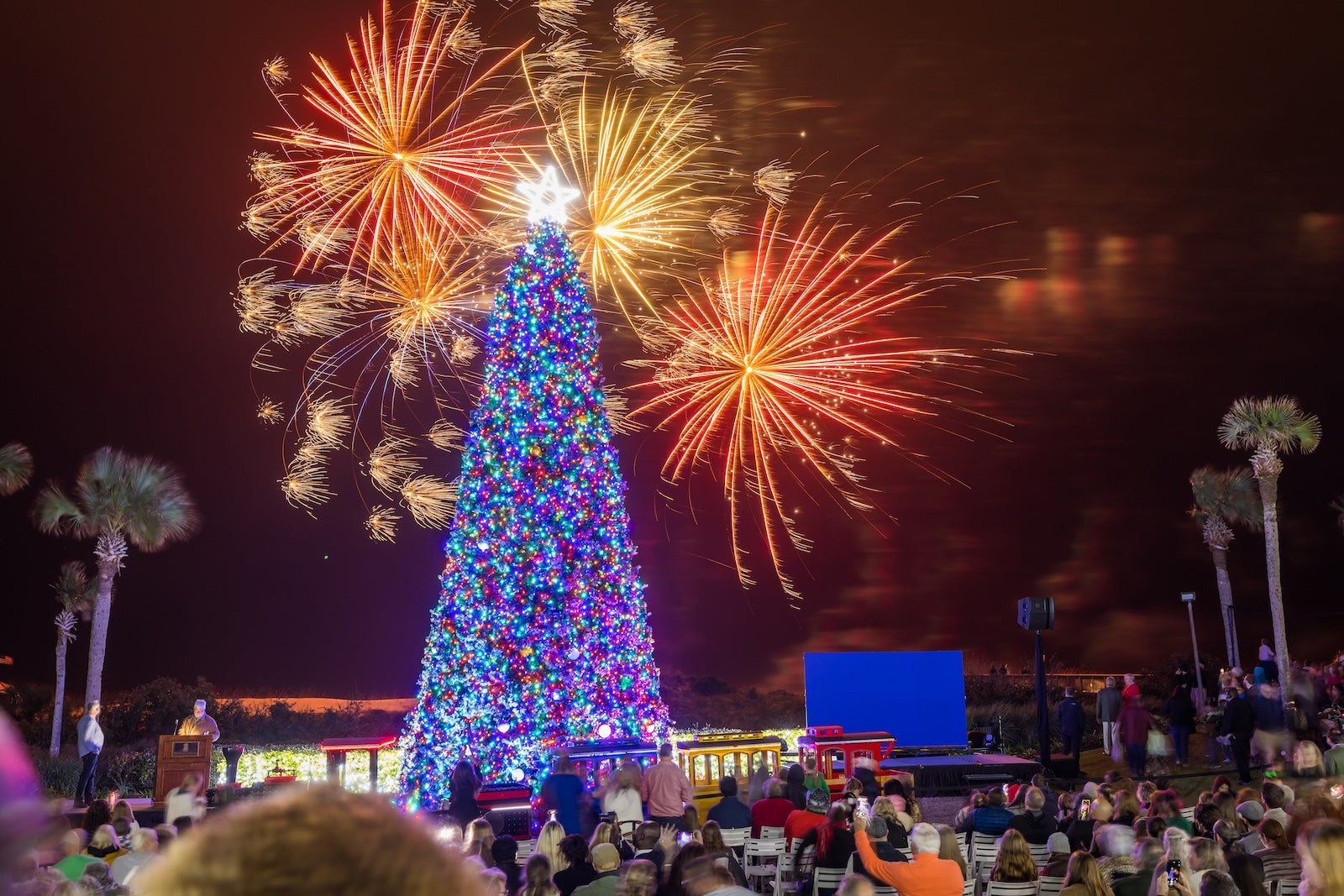 Ritz-Carlton Christmas decorations