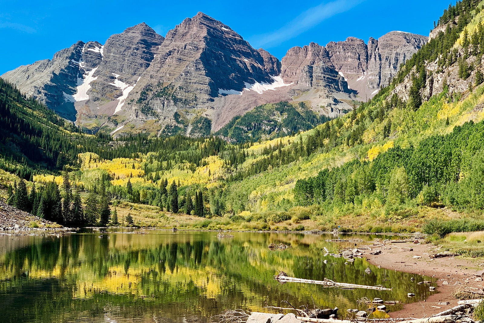 Trees near a lake at Maroon Bells in Colorado