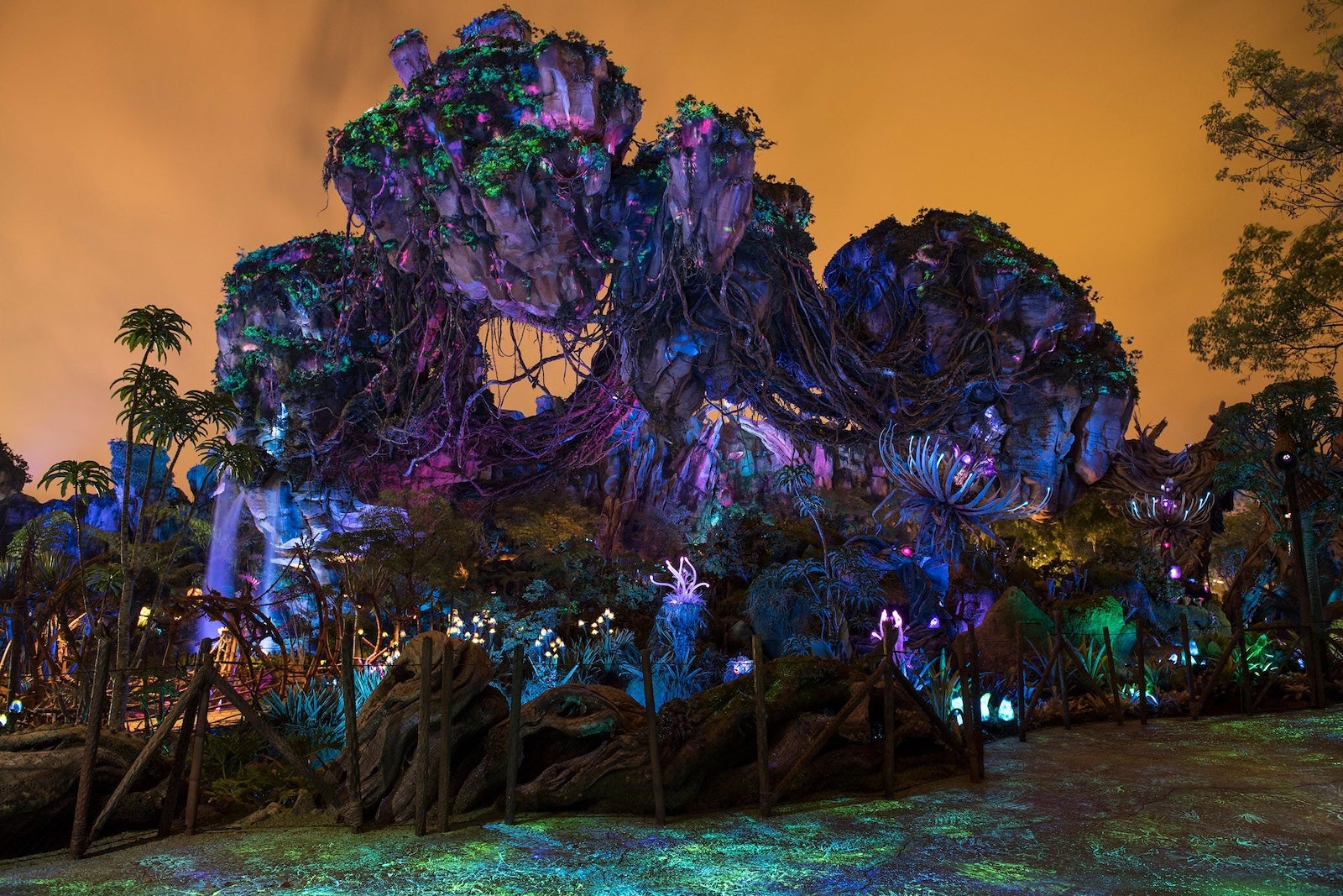 Pandora — The World of Avatar at Disney's Animal Kingdom. 