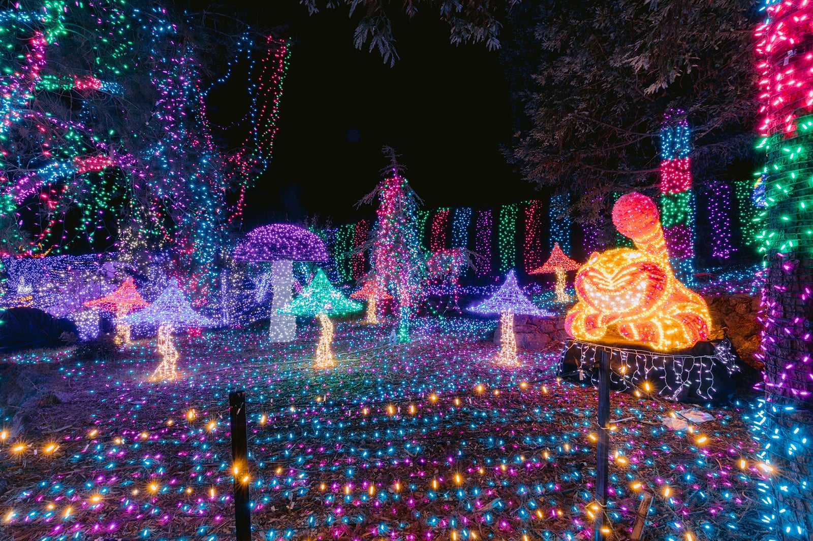 Cambria Christmas Market, California