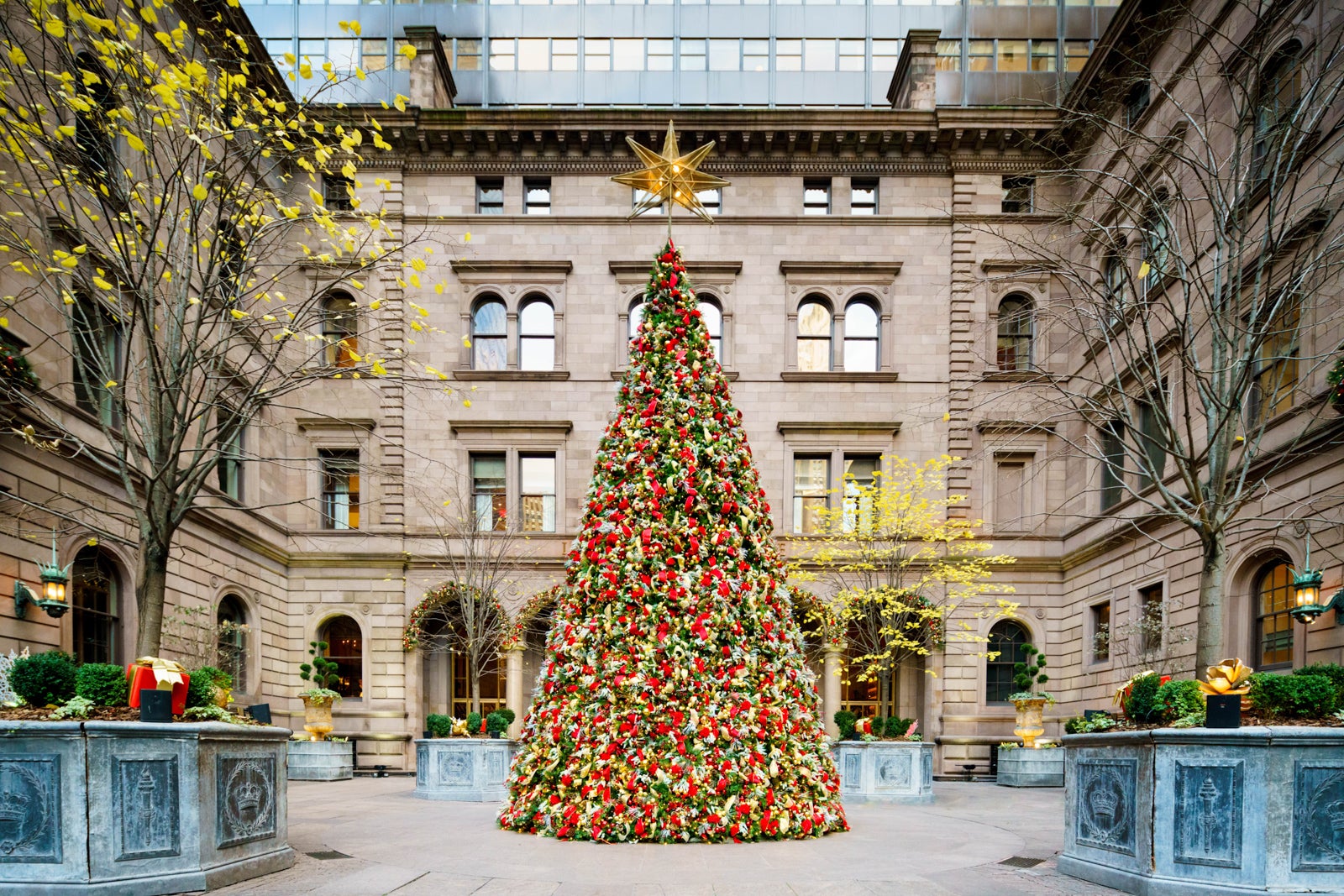 Giant Christmas tree in outdoor courtyard of hotel