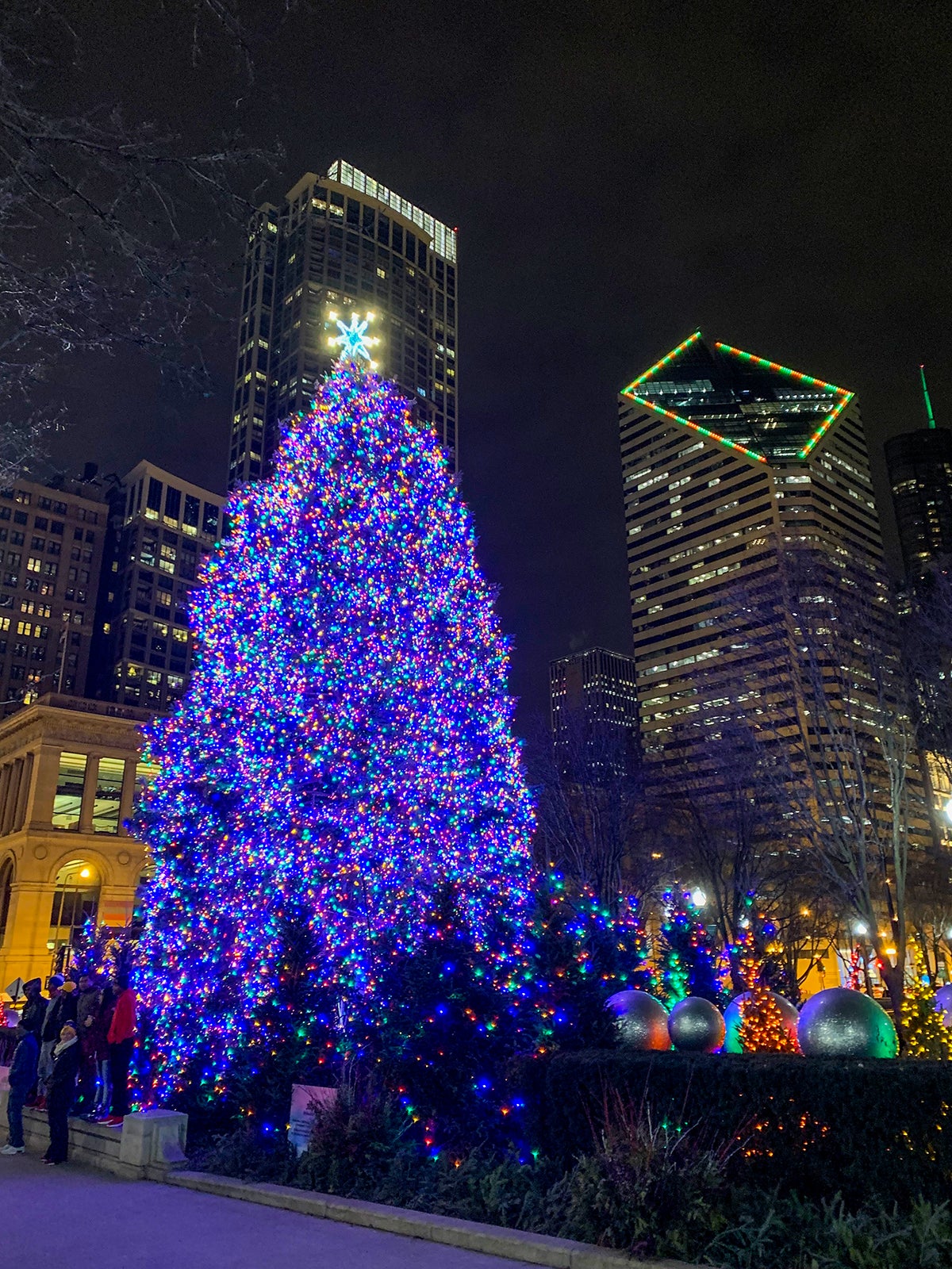 Christmas tree lit in the city