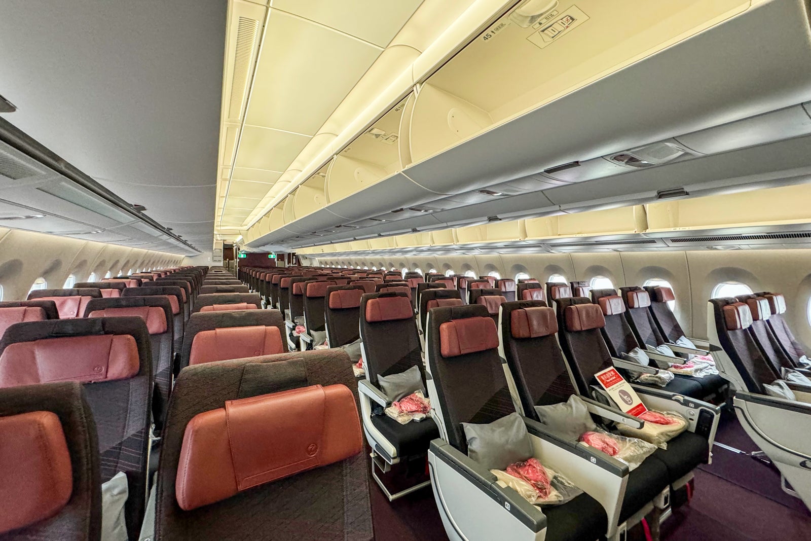 Japan Airlines economy class