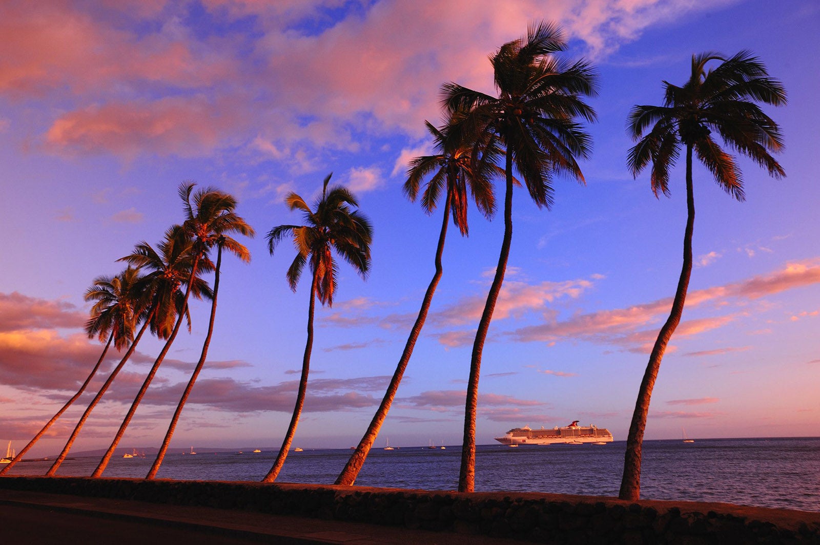 Row of palm trees with Carnival cruise ship off the coast of Maui.