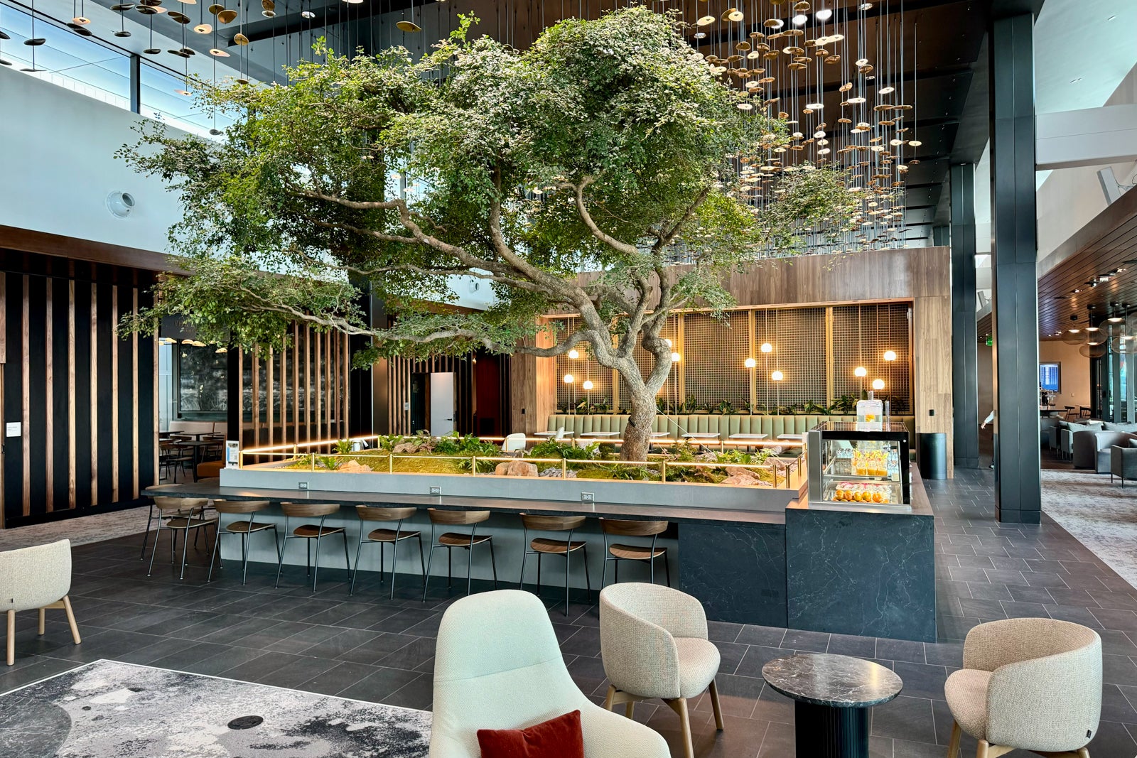 American Express Centurion Lounge Atlanta ATL