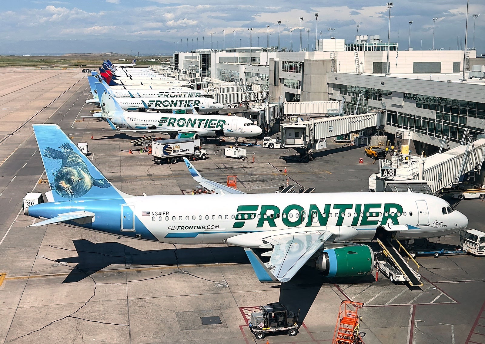 A row of Frontier Airlines planes parked at their gates