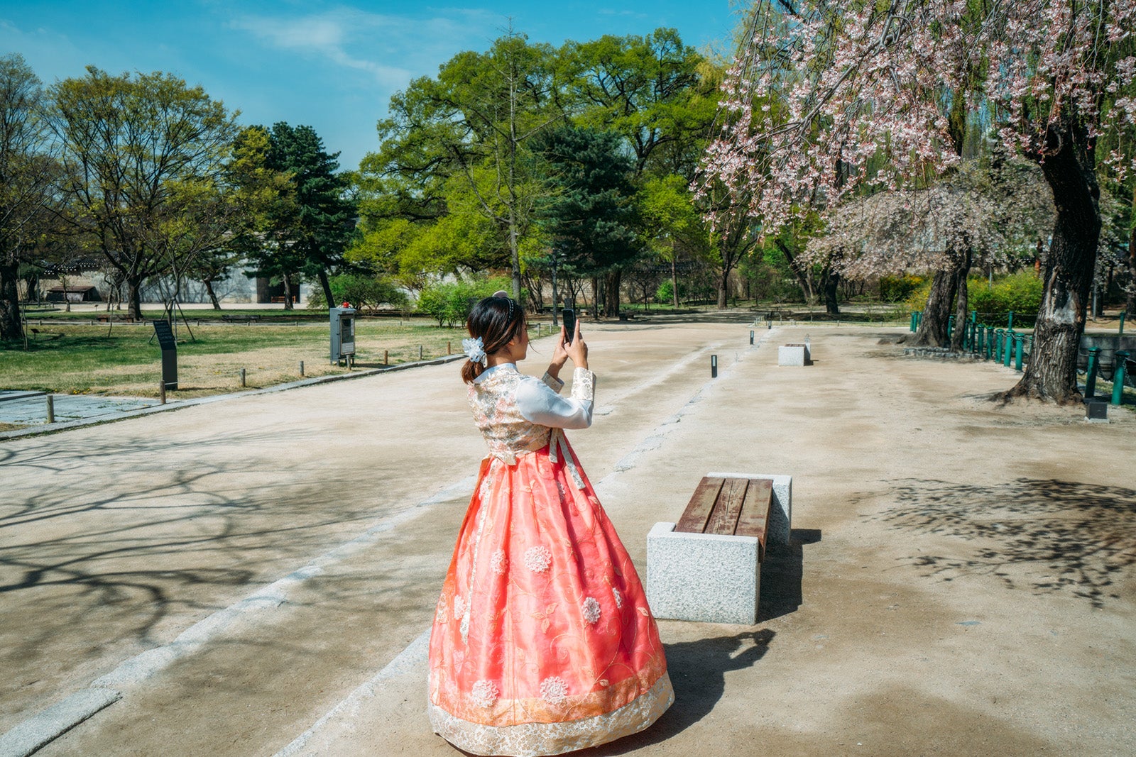 Best places in the world to see cherry blossoms