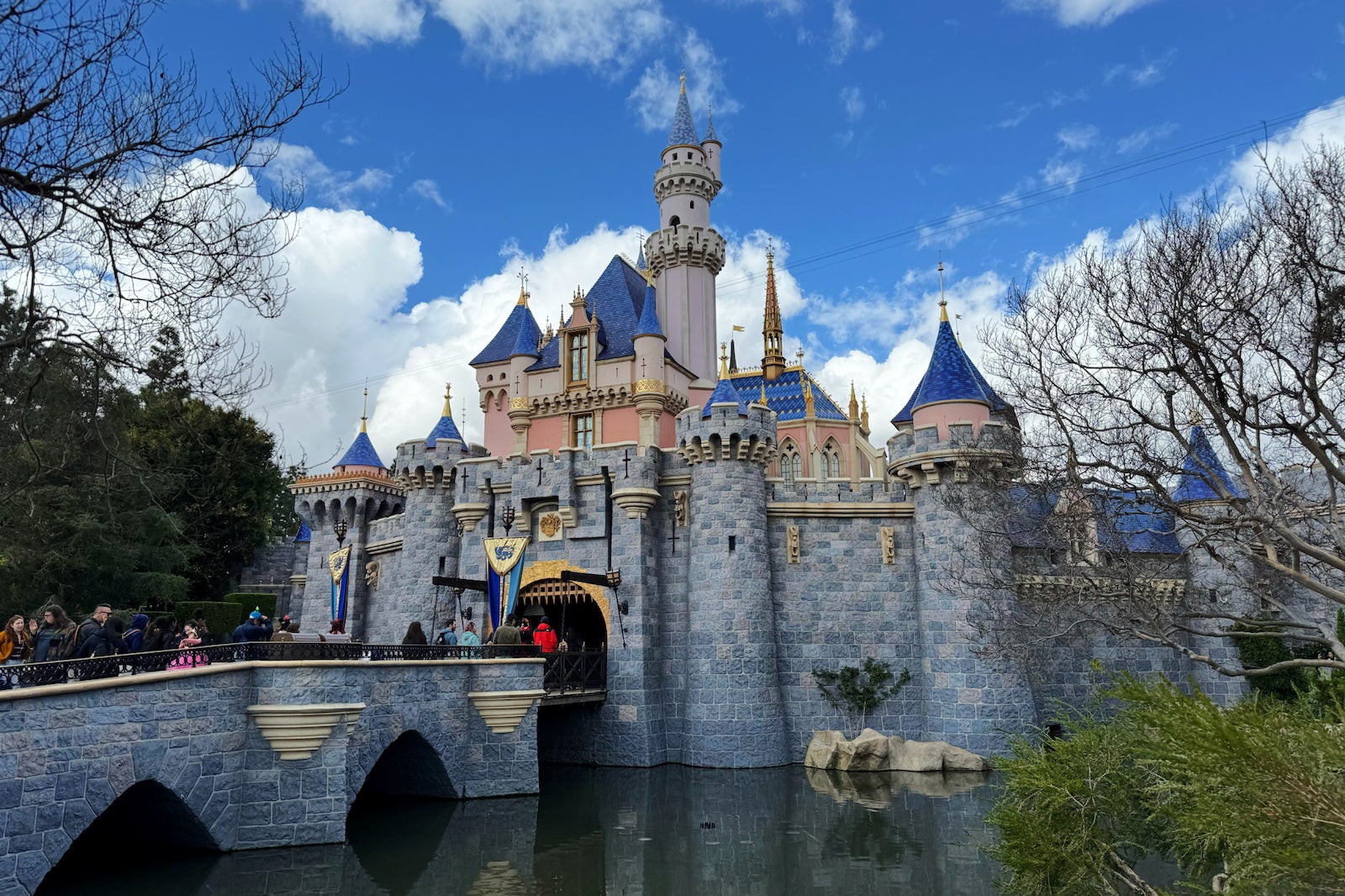 Disneyland Castle in February 2024