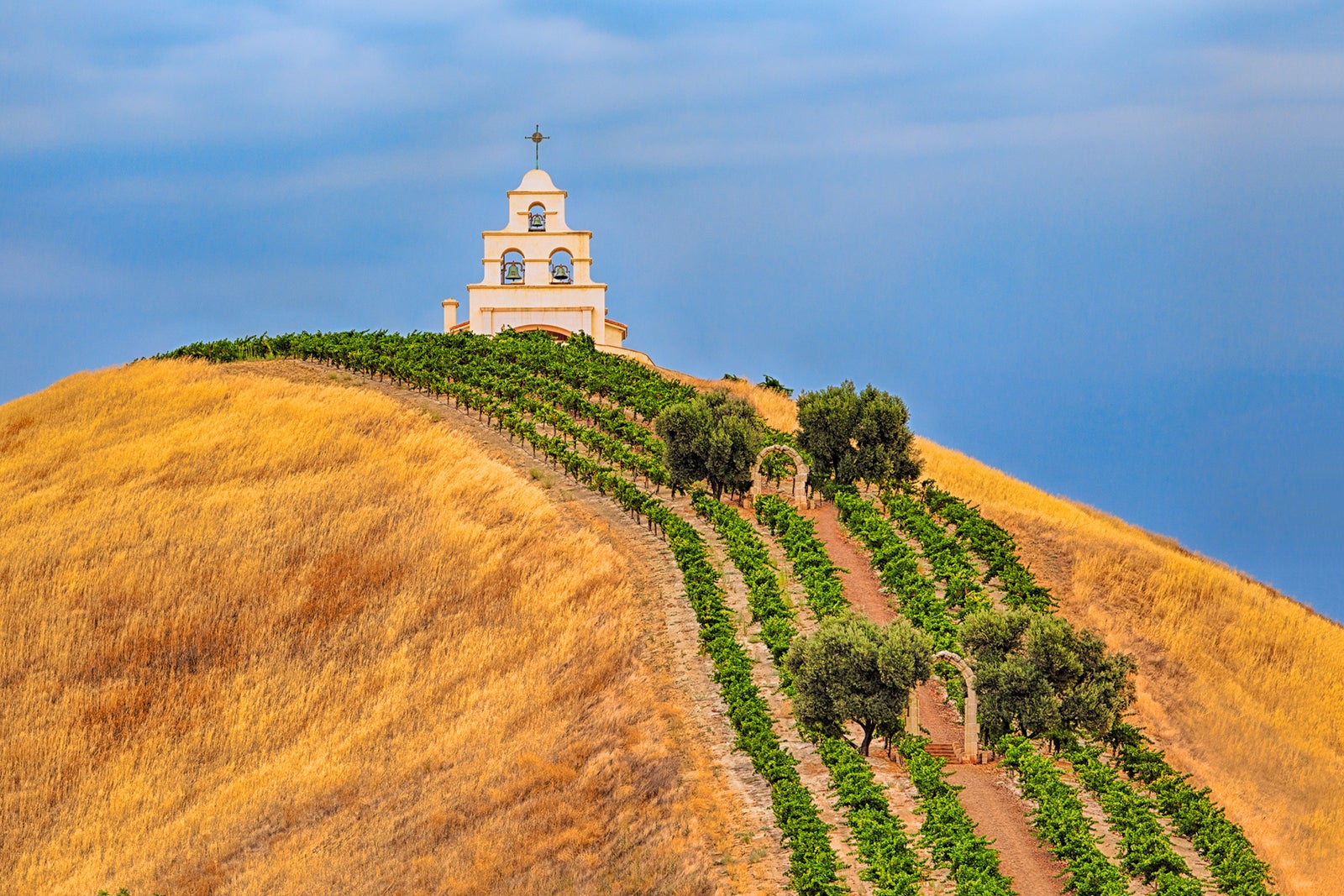 california vineyard