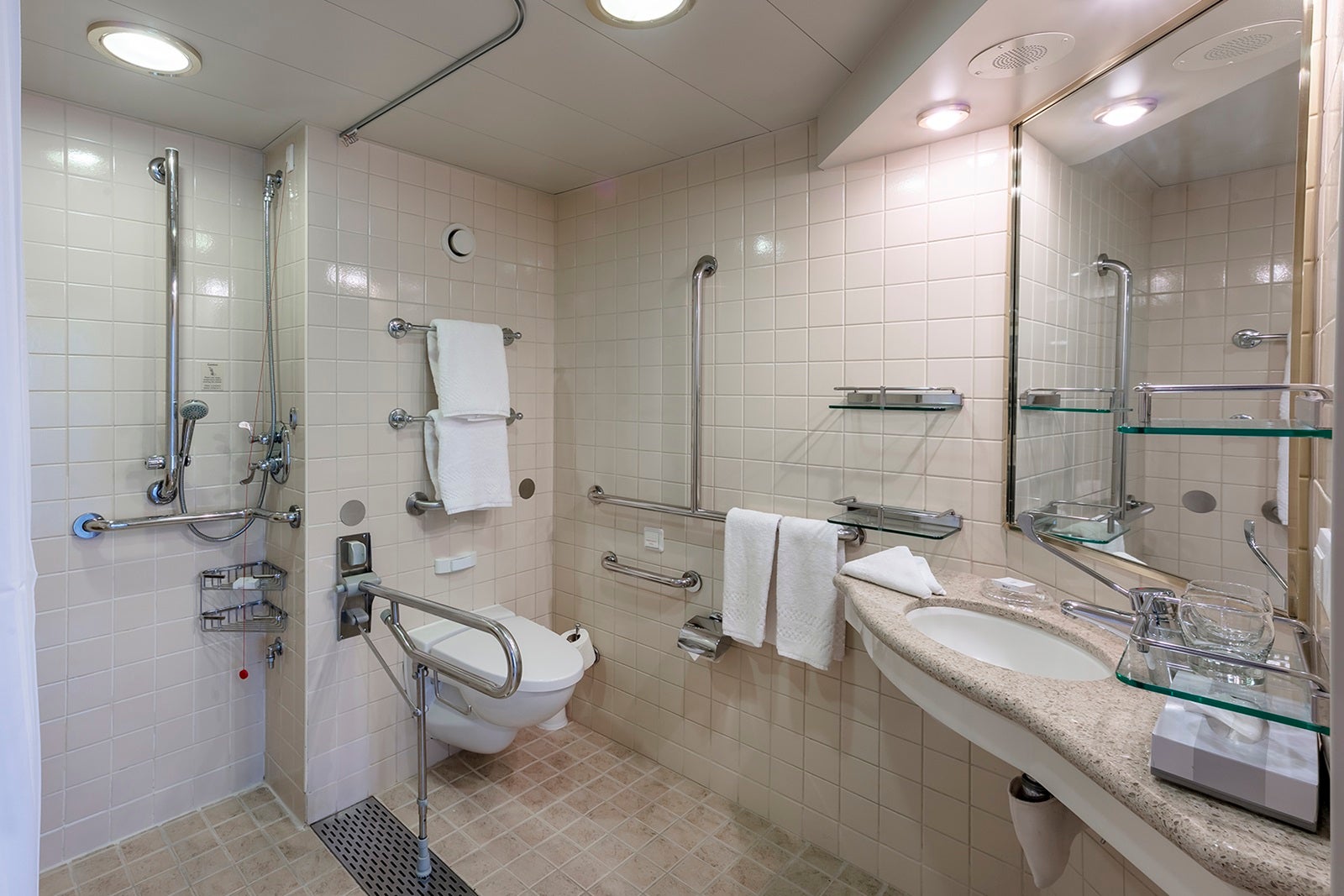 An accessible bathroom in a cruise ship cabin