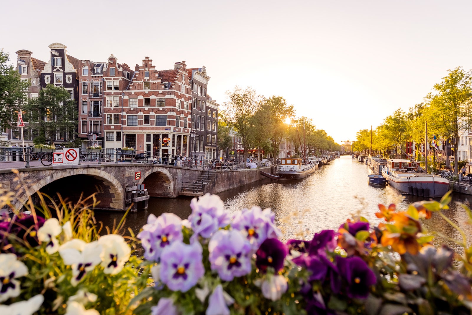 Amsterdam Netherlands canal at sunset with flowers in foreground Alexander Spatari