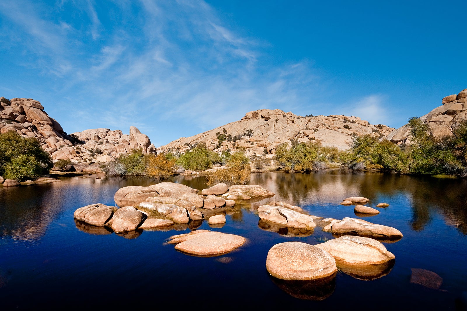 Barker Reservoir in Joshua Tree National Park