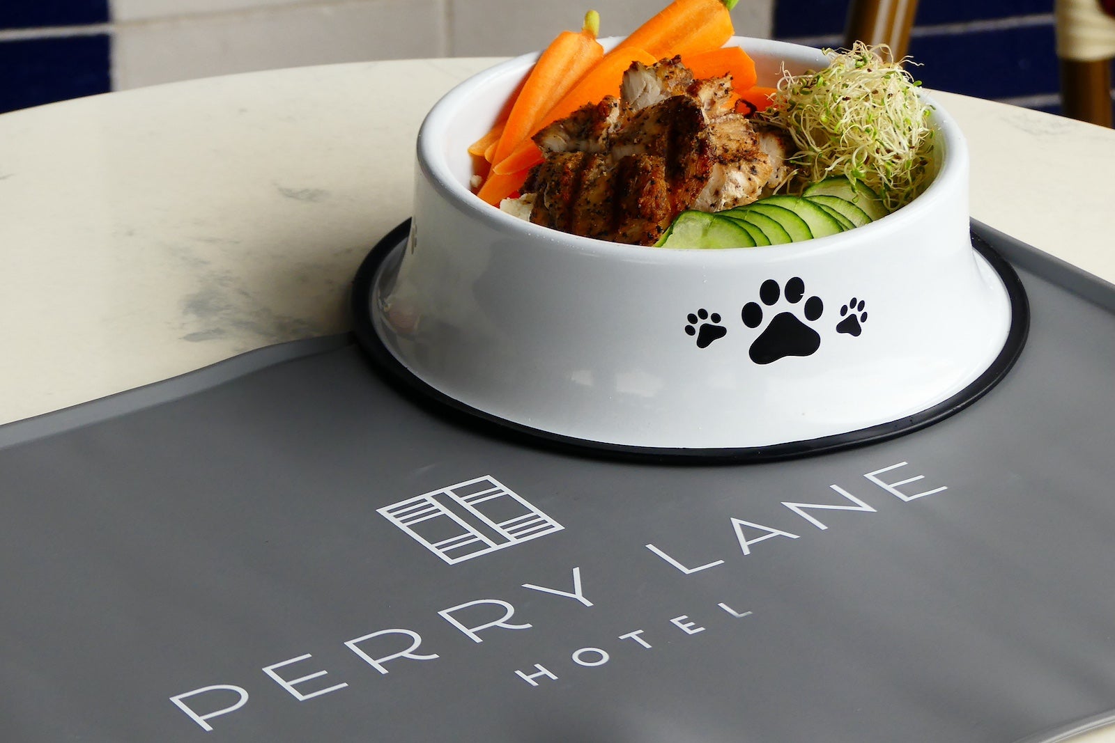 perry lane hotel dog bowl
