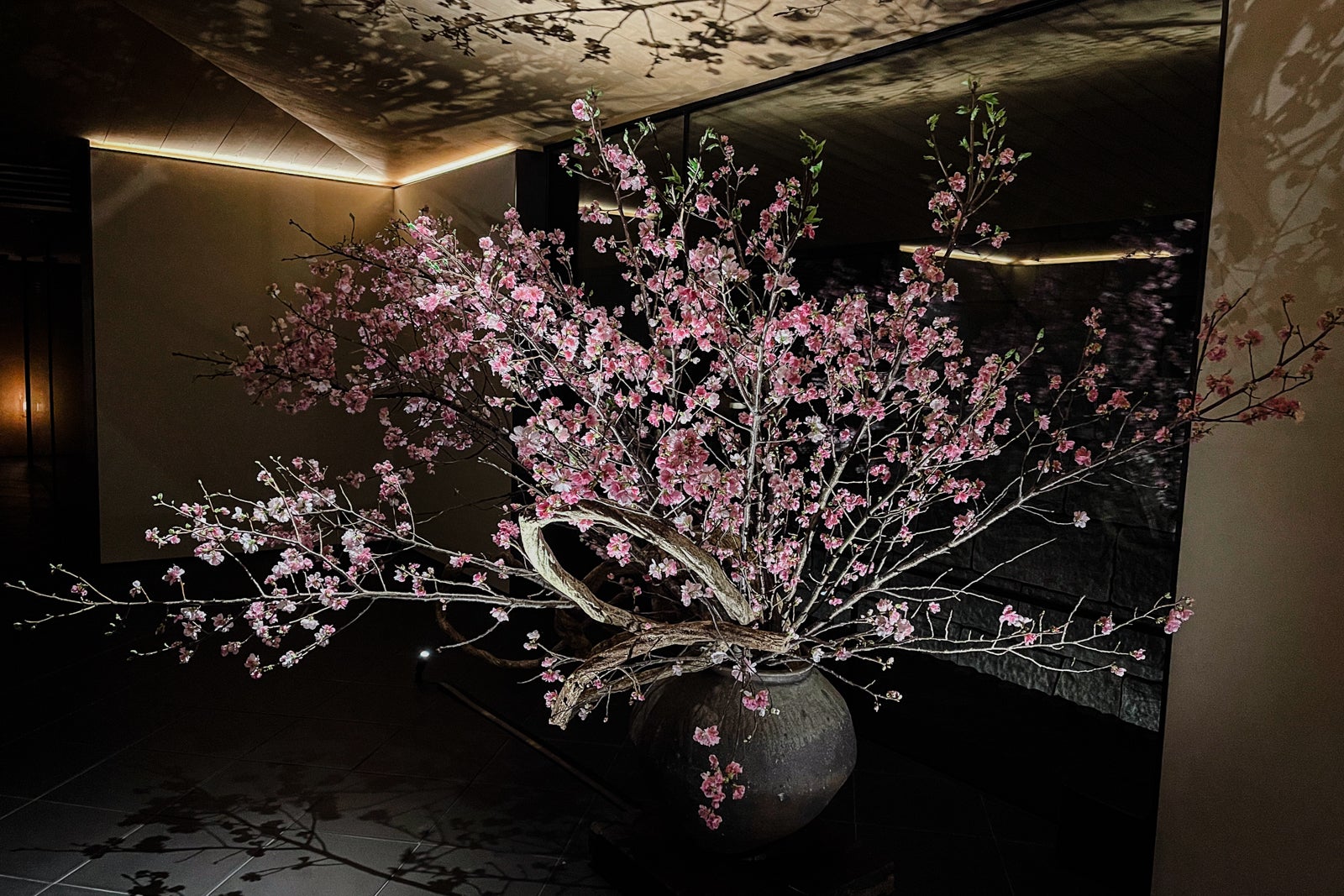 indoor cherry blossoms illuminated by lights at Park Hyatt Kyoto