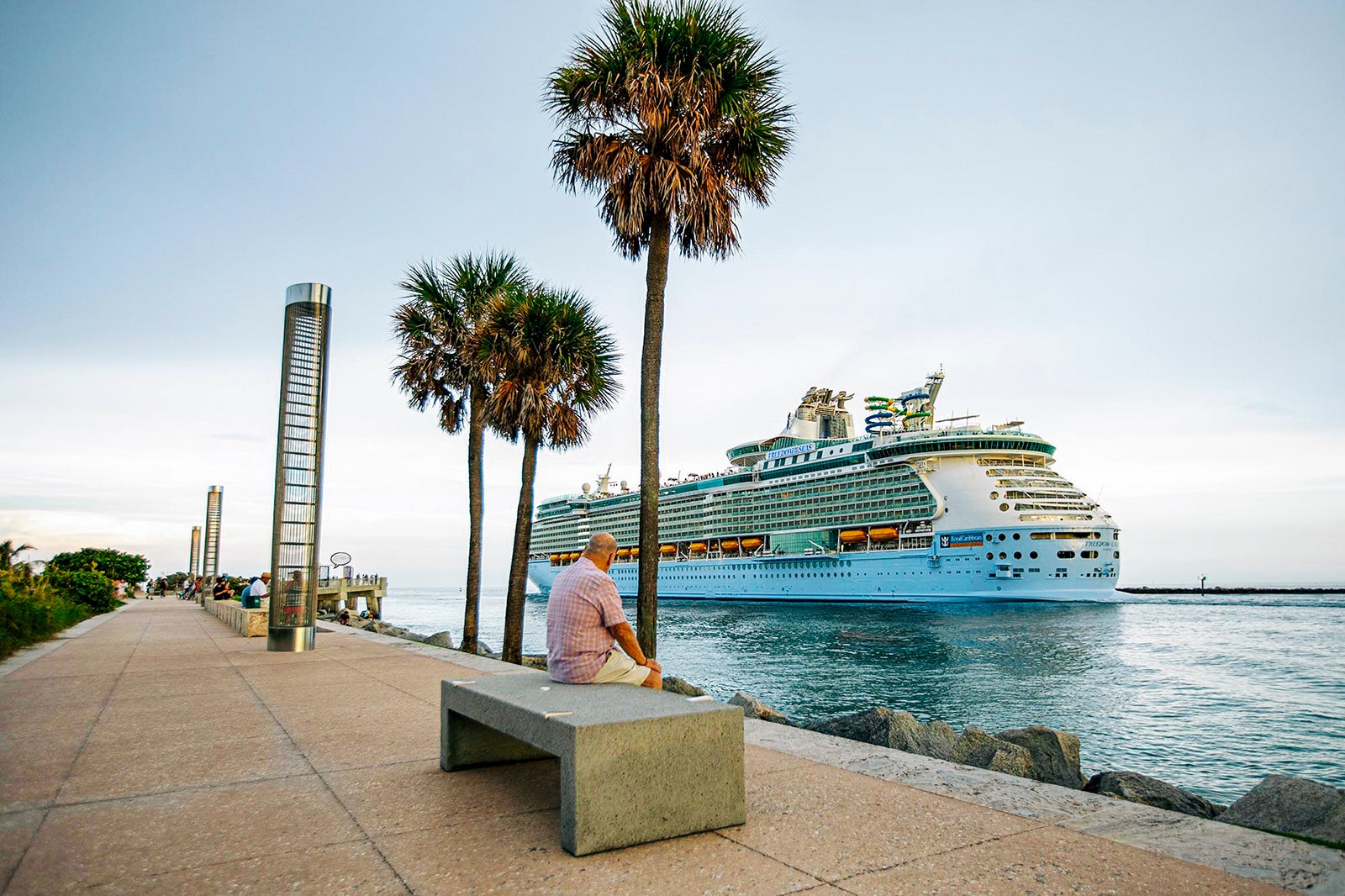 cruise ship sailing near shoreline and palm trees