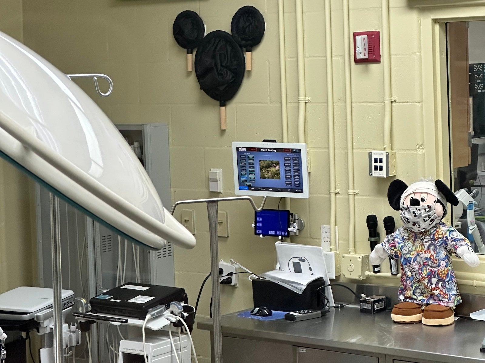 Veterinary facilities at Rafiki's Planet Watch at Disney's Animal Kingdom.