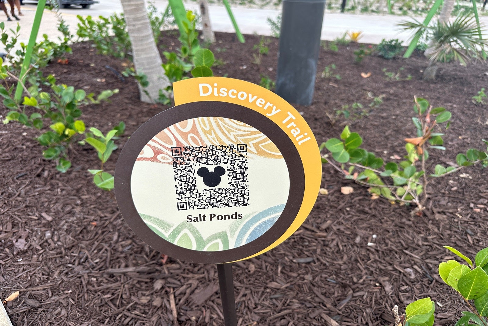 A sign with a QR code to tell visitors about Bahamian nature