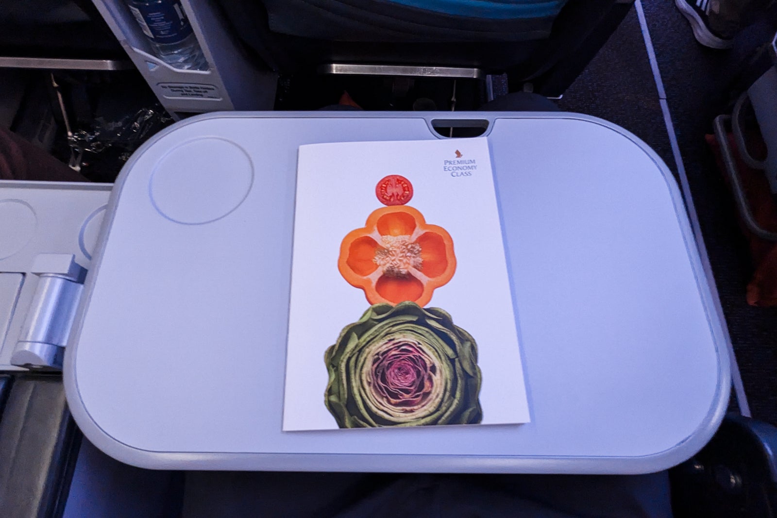 tray table singapore airlines