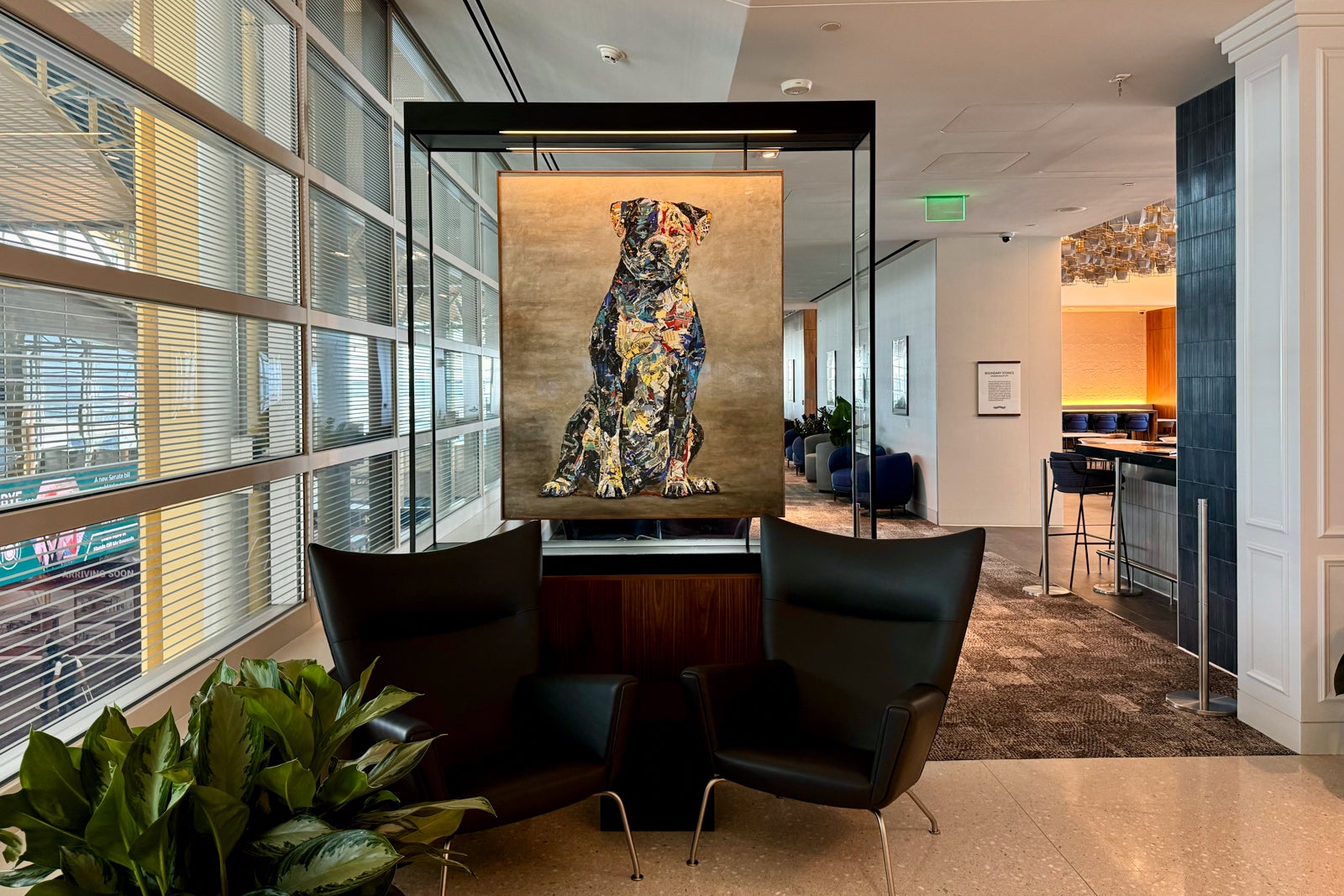Amex DCA