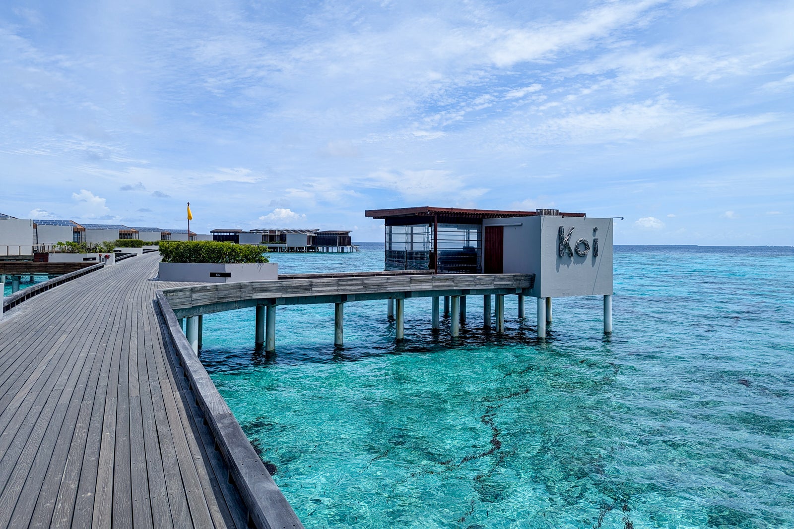 Park Hyatt Maldives Koi