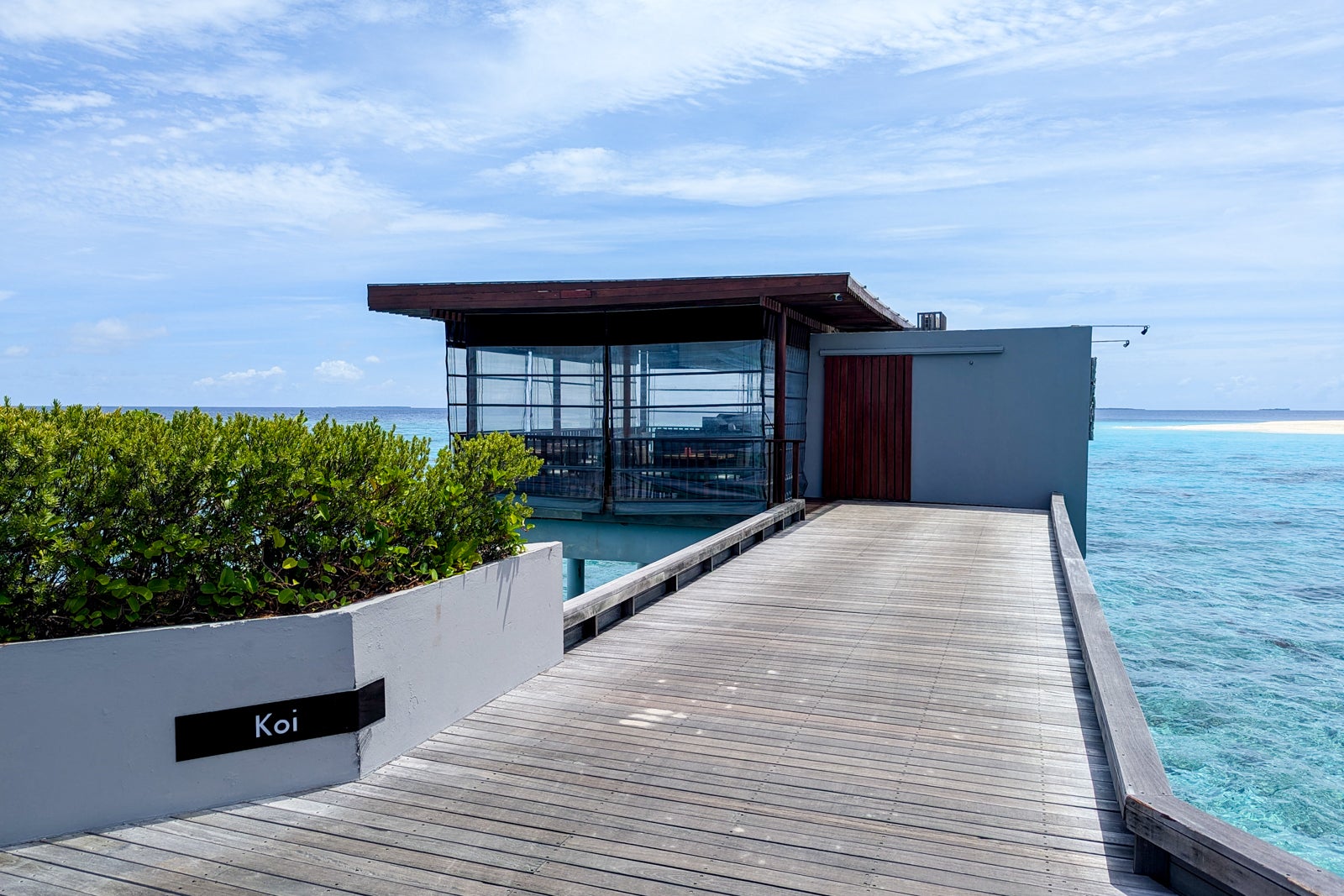 Park Hyatt Maldives Koi