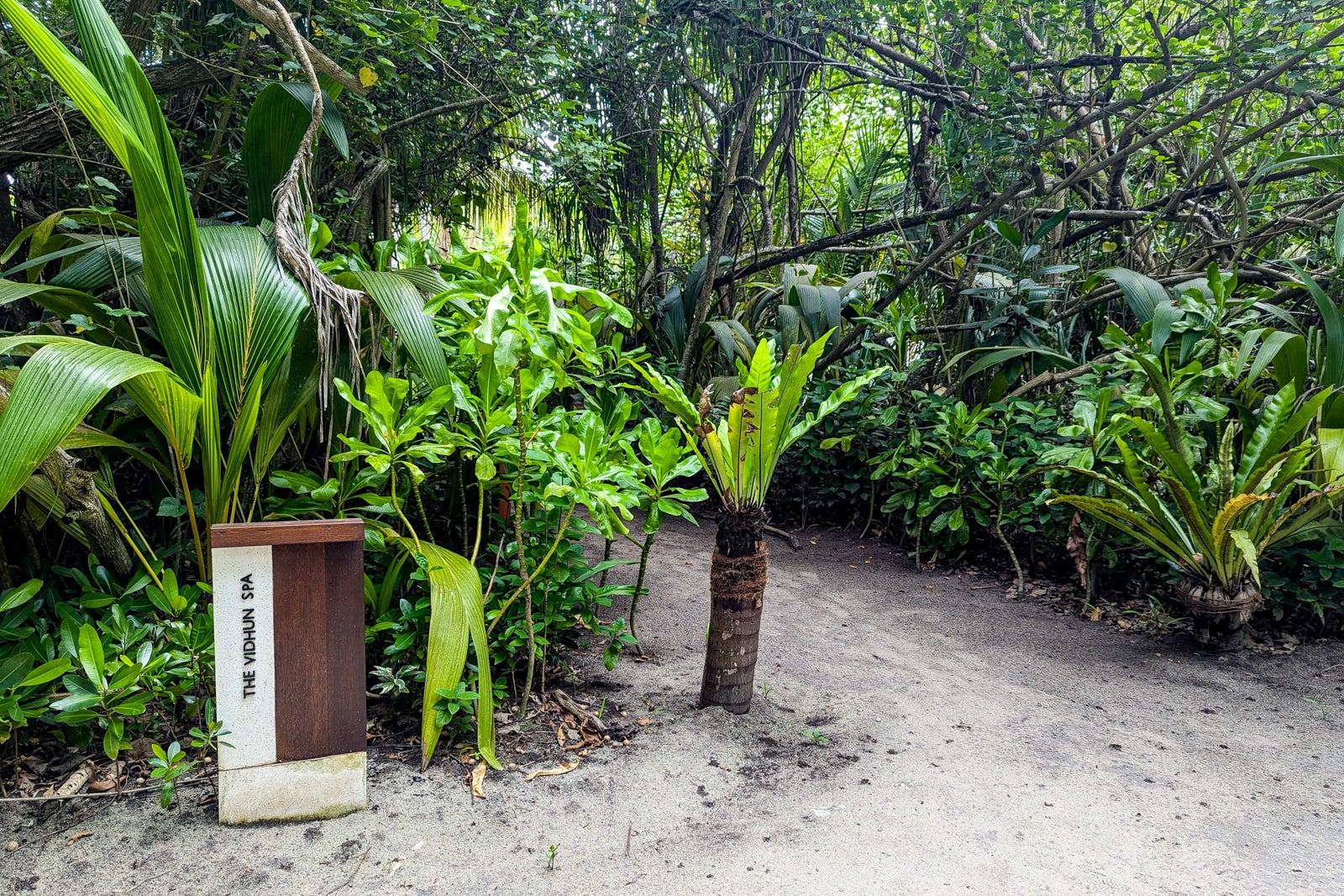 Park Hyatt Maldives spa