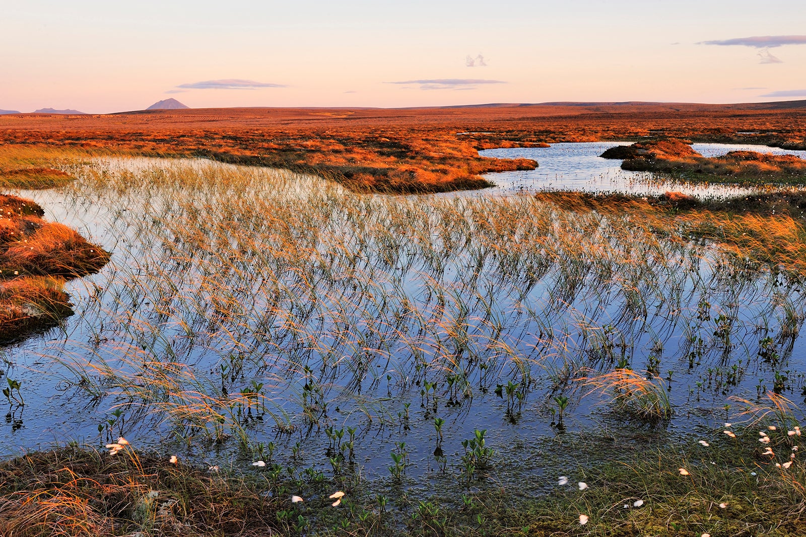 sunset view of bog in Scotland