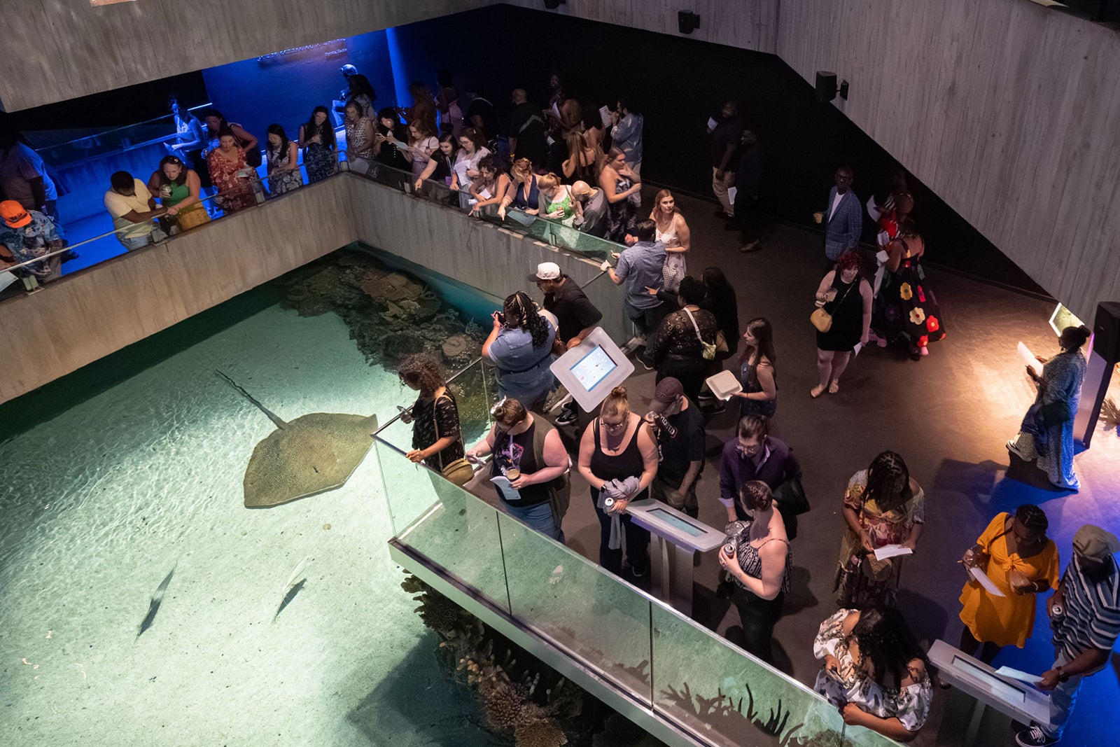 People looking at a stingray display at the National Aquarium in Baltimore