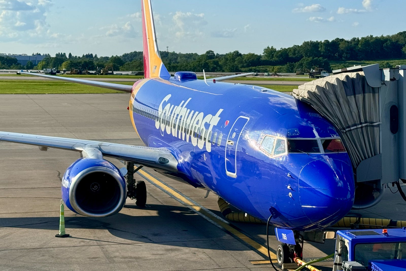 blue Southwest plane at gate