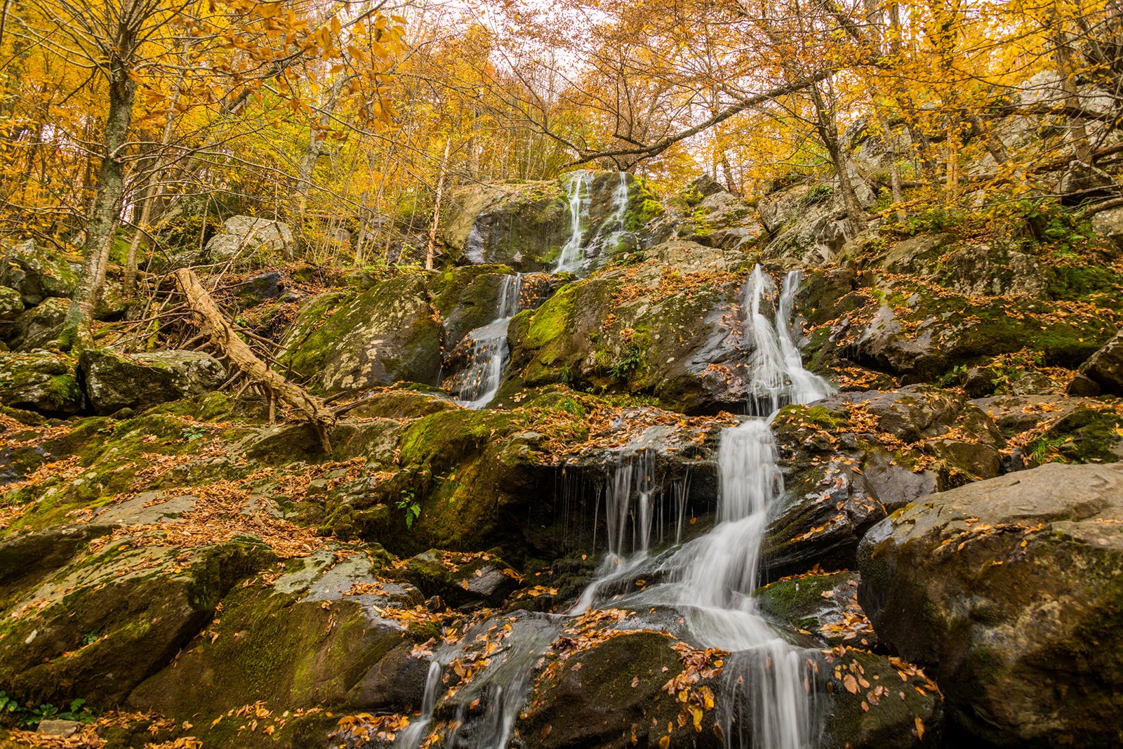 Shenandoah National Park during the fall