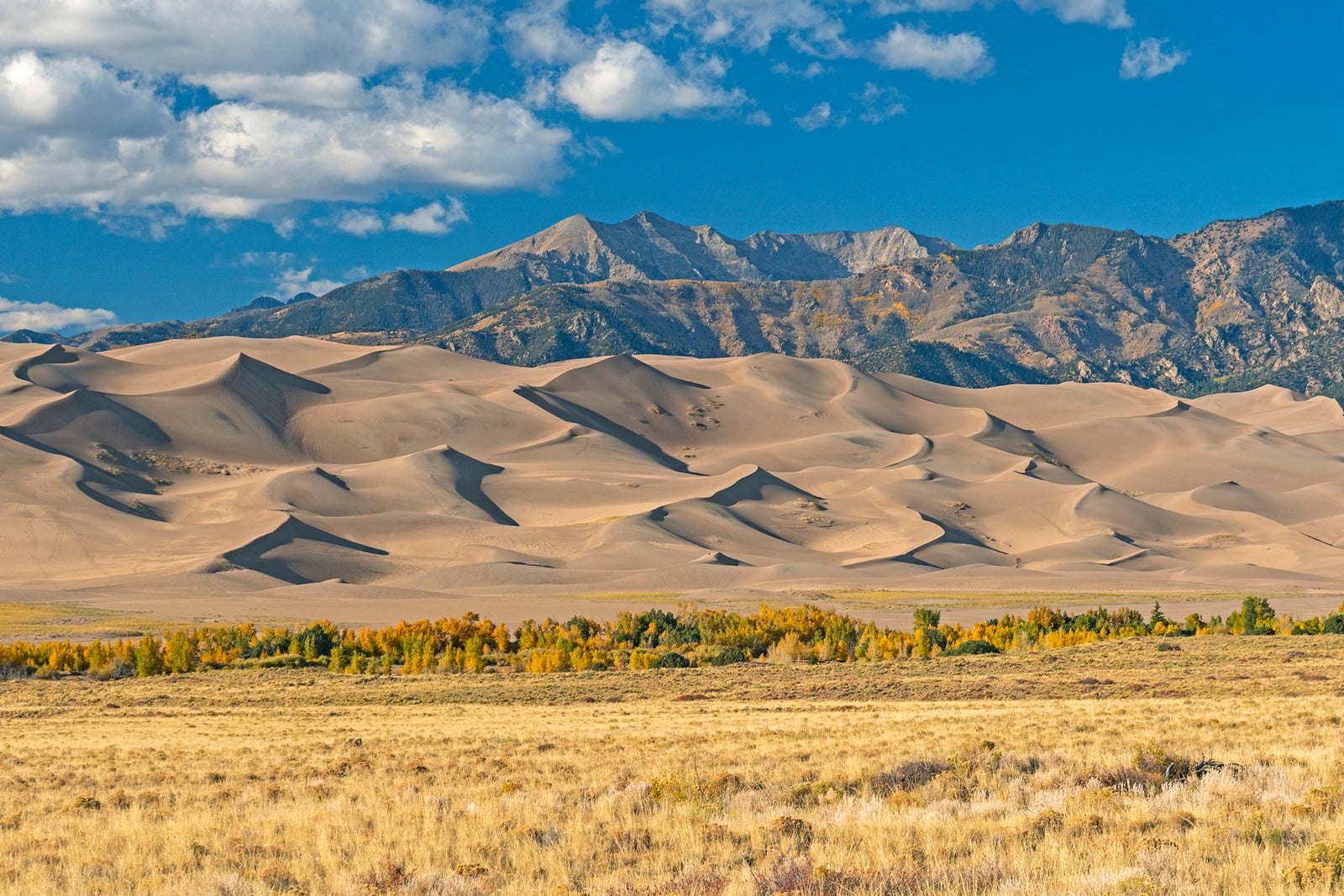 Great Sand Dunes National Park during the fall