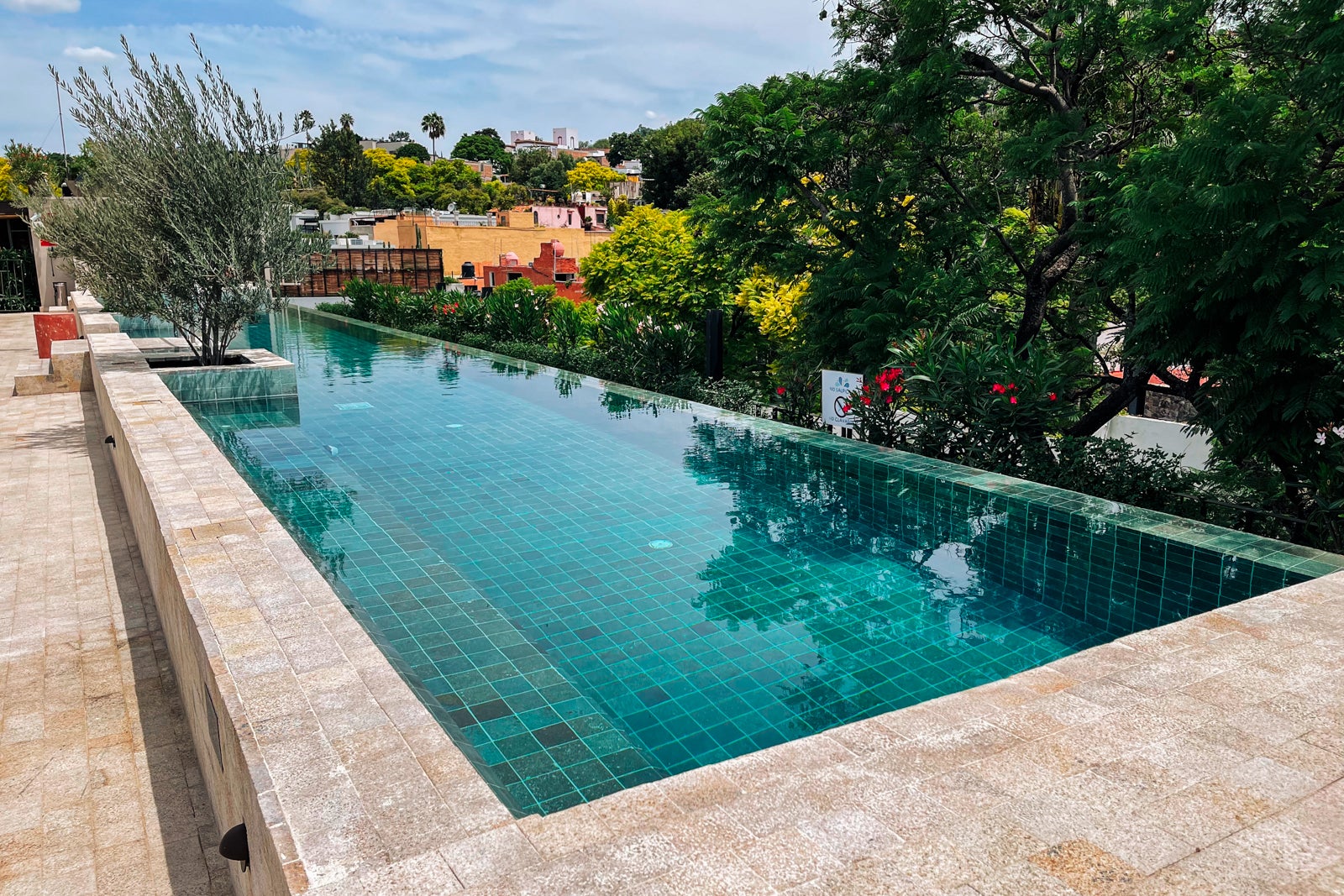 Numu's rooftop pool - San Miguel de Allende, Mexico