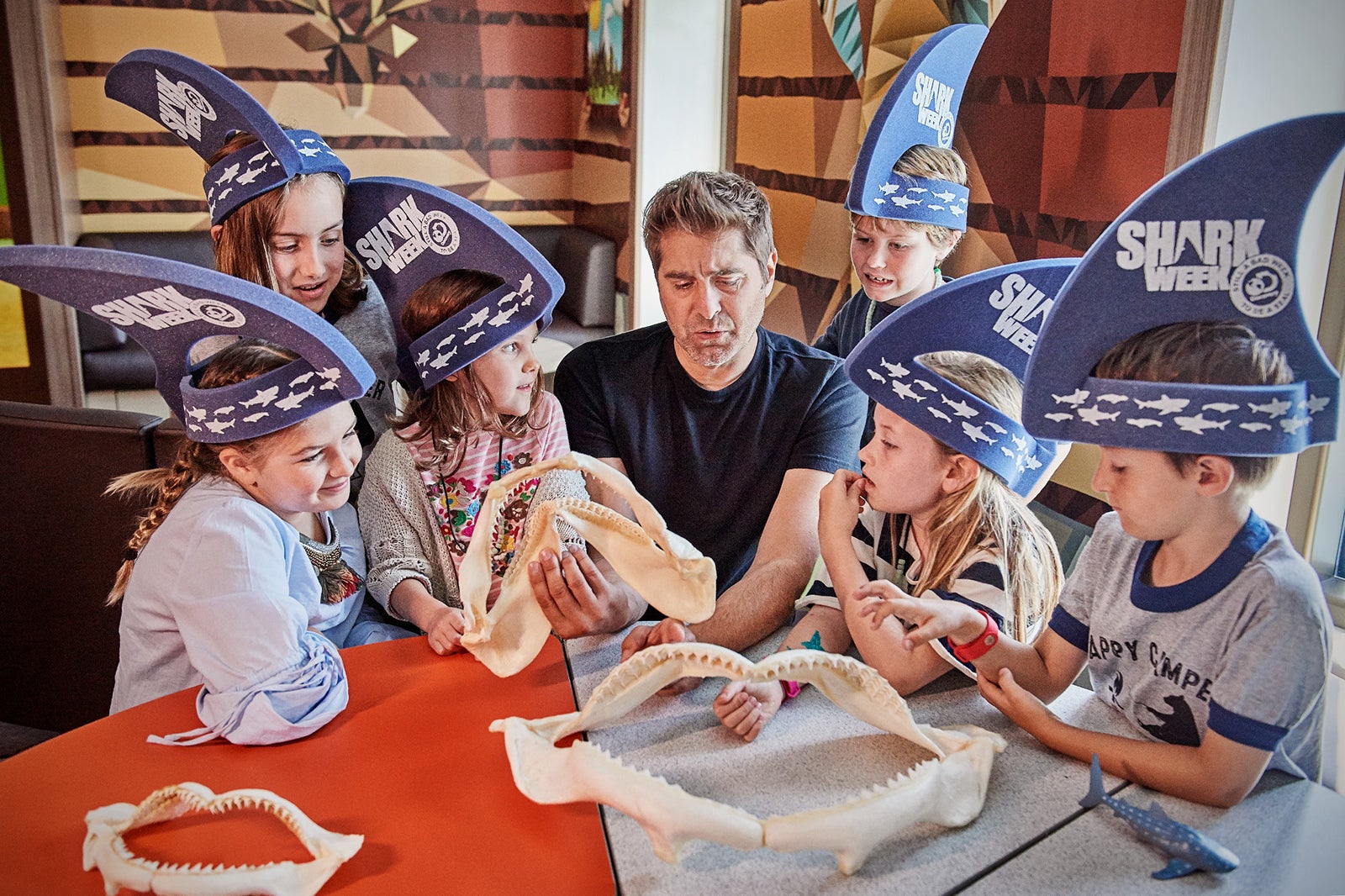 Kids wearing foam shark fin hats look at shark bones