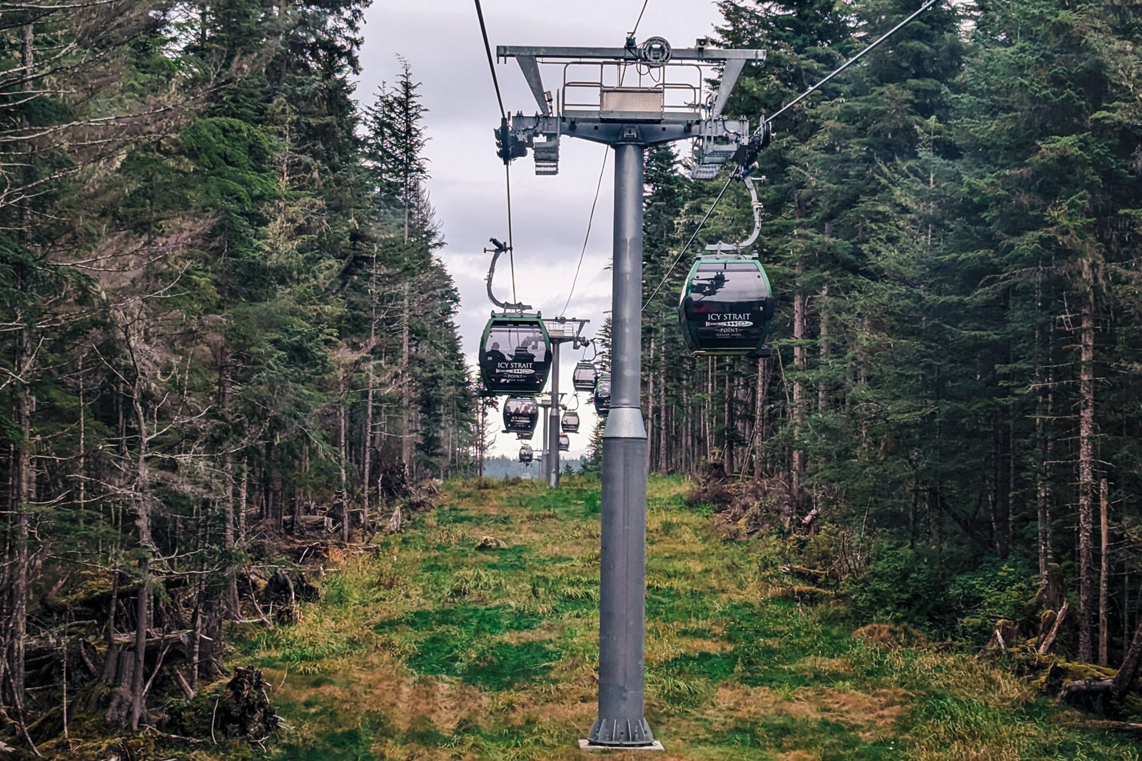 Gondolas travel through an Alaska rainforest