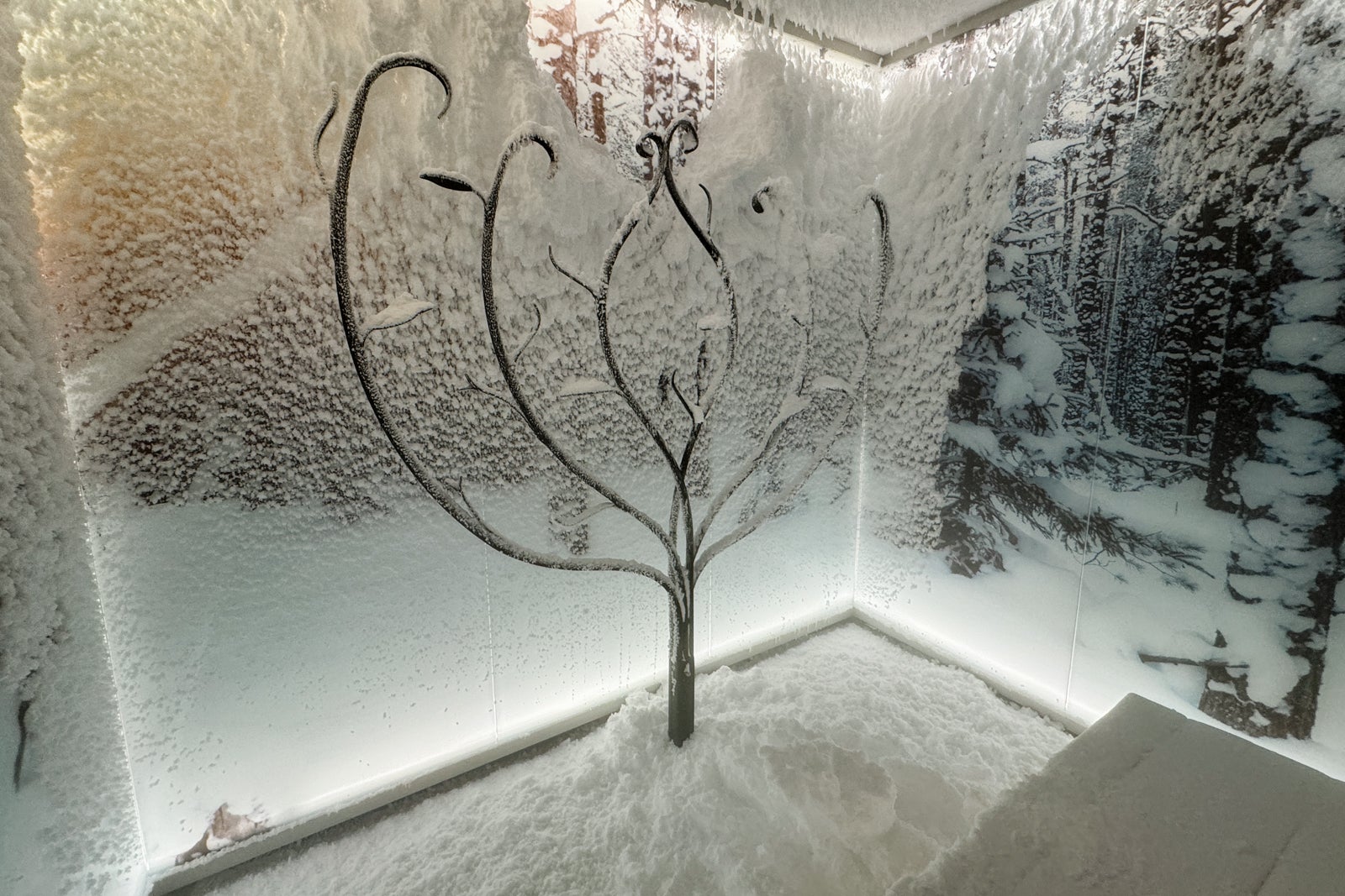 Snow room in MSC Seascape Thermal spa