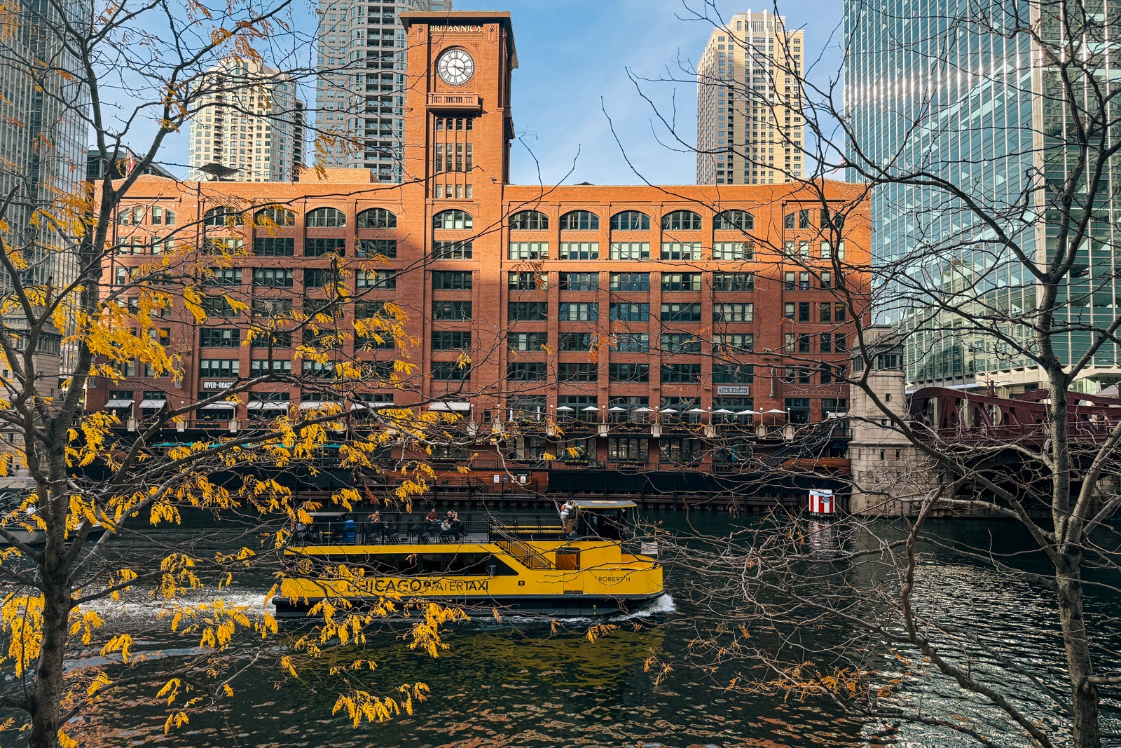 chicago river in autumn