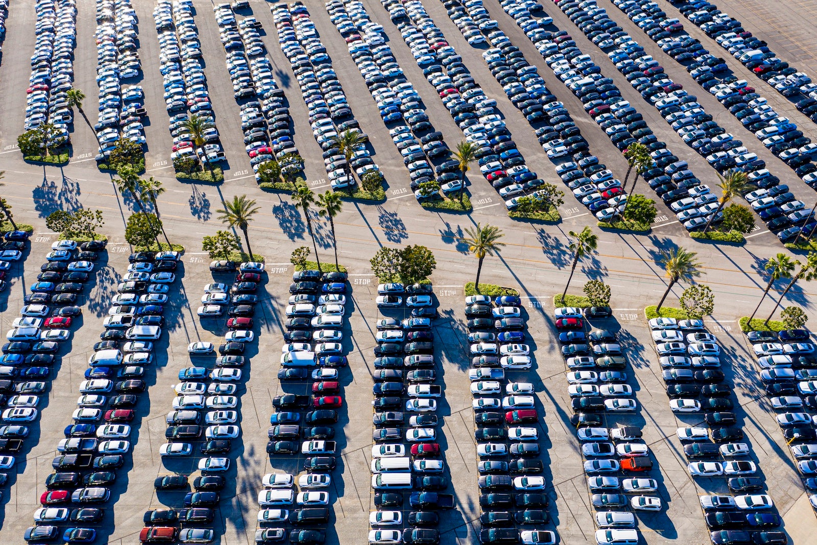 Aerial view of parked cars