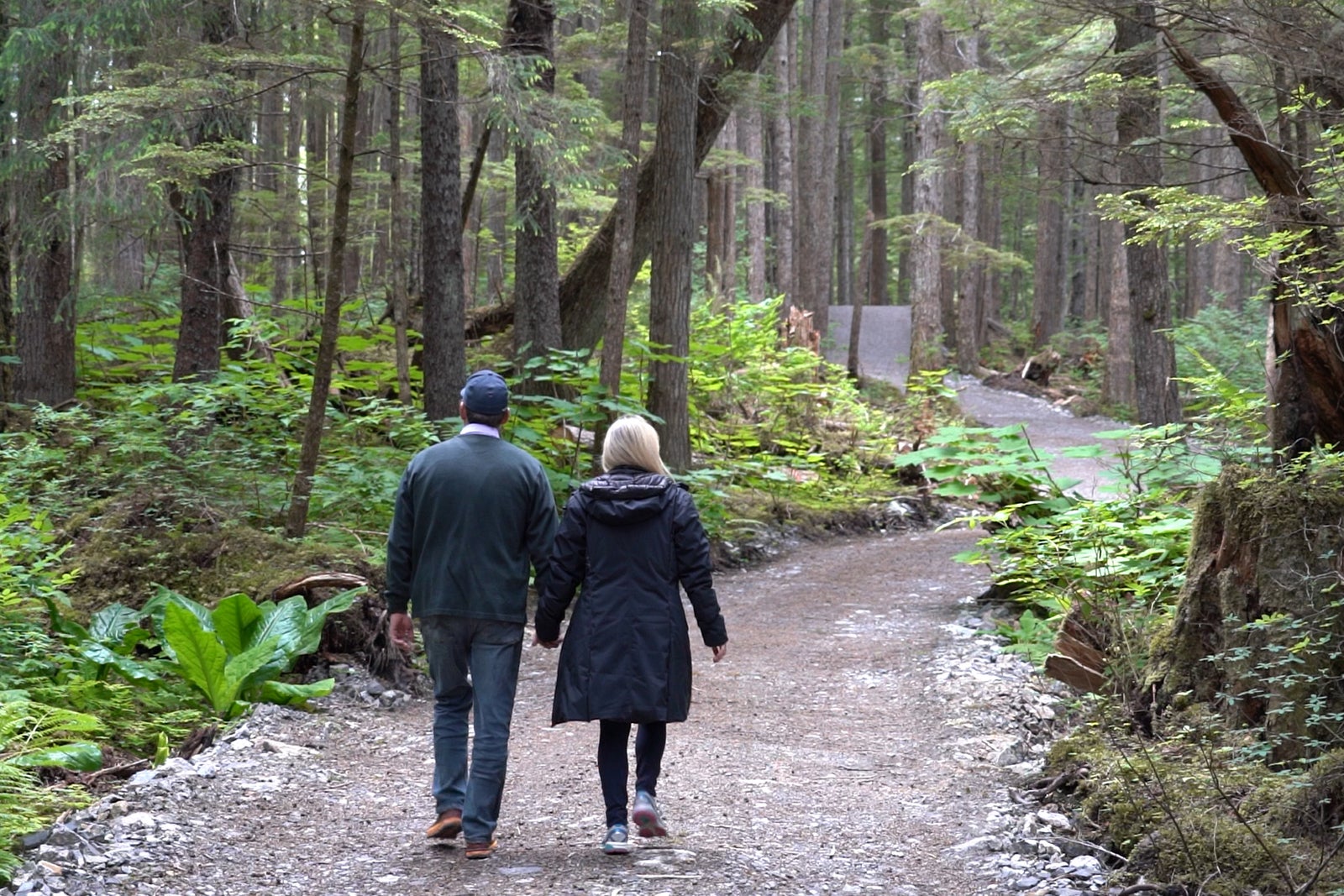 Couple walking in the woods on a trail