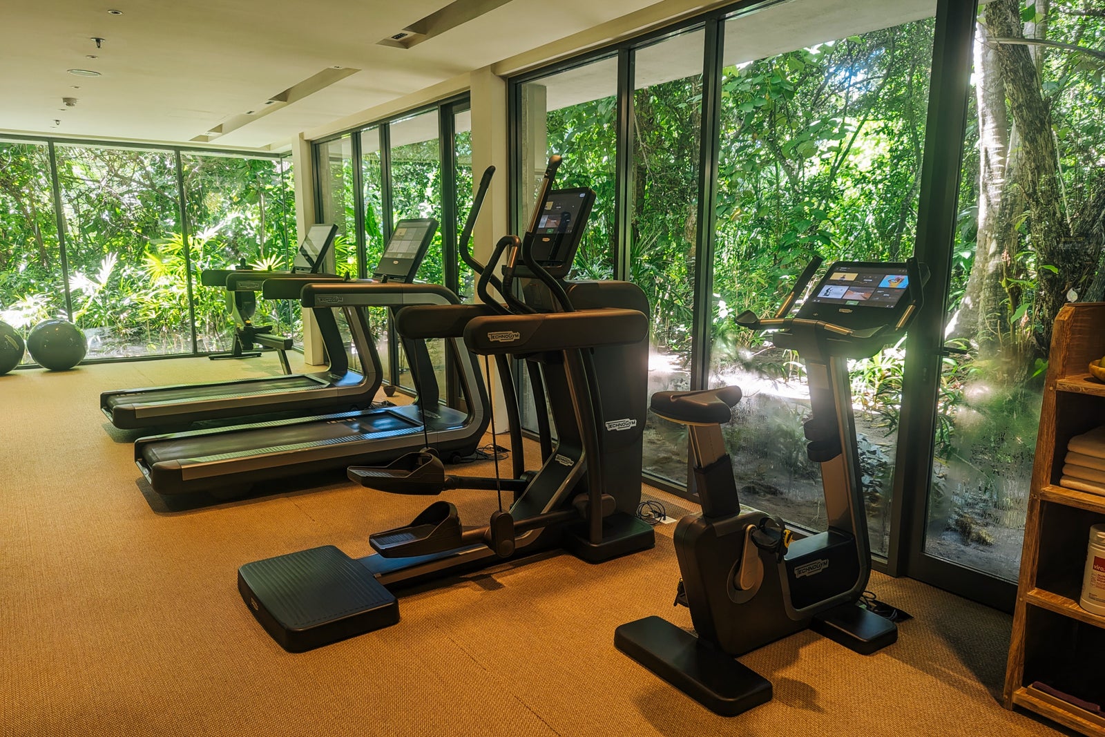 Alila Kothaifaru Maldives gym