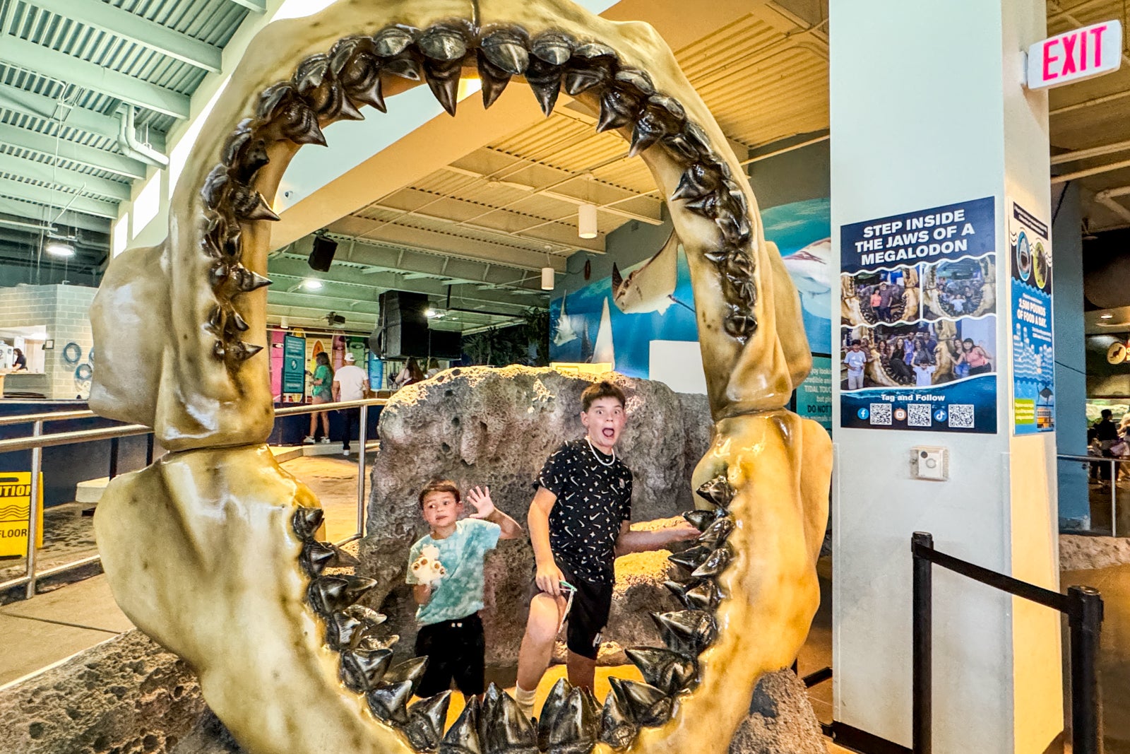 kids at the aquarium