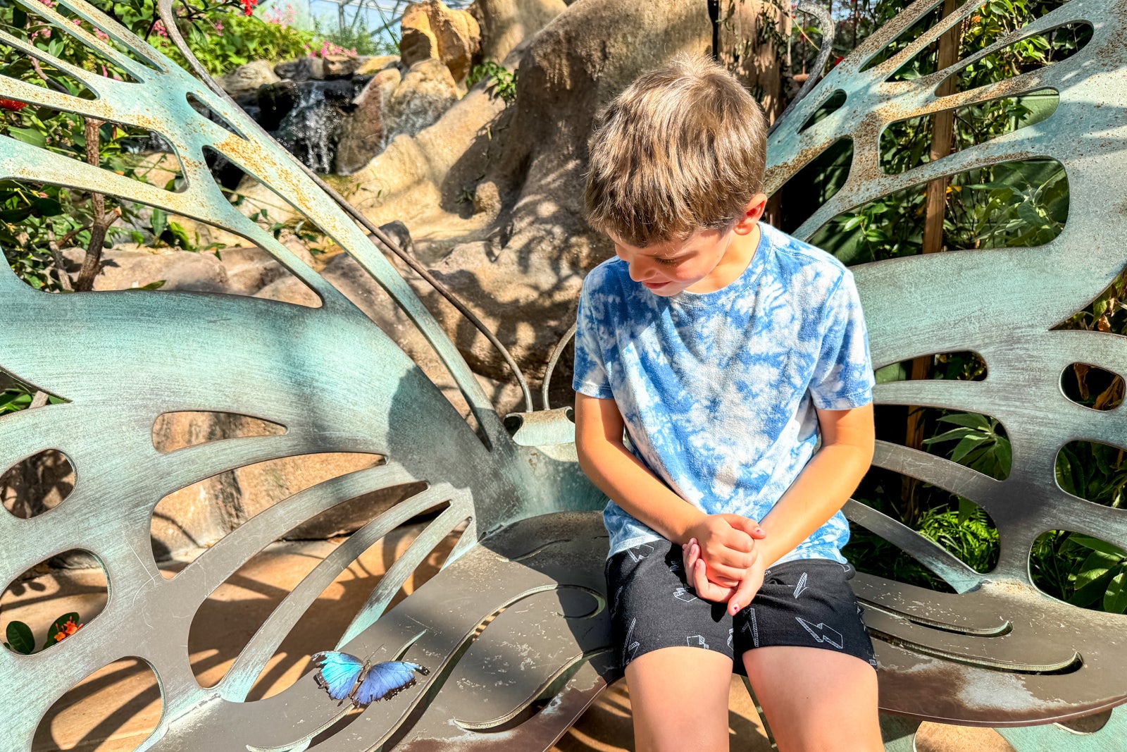 kids at butterfly conservatory