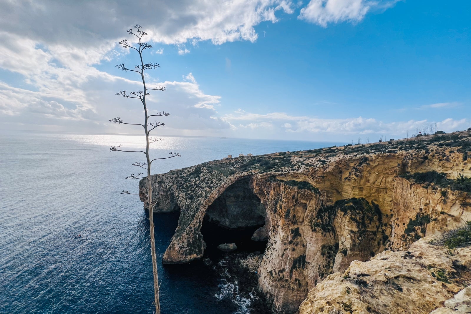 ocean cliffside