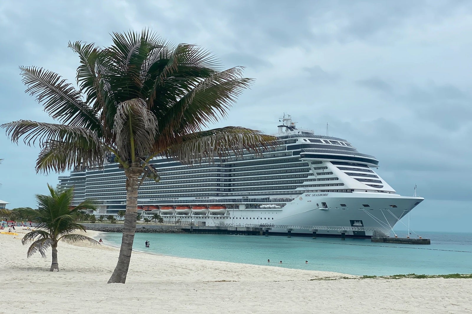 A cruise ship docked at the beach with palm trees in the foreground