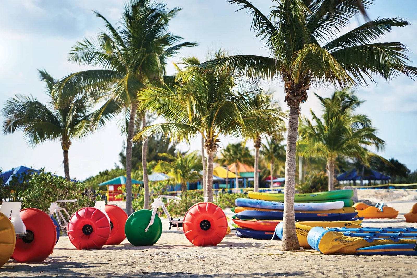 Sand bikes with large, colorful wheels parked in the sand between palm trees on a beach