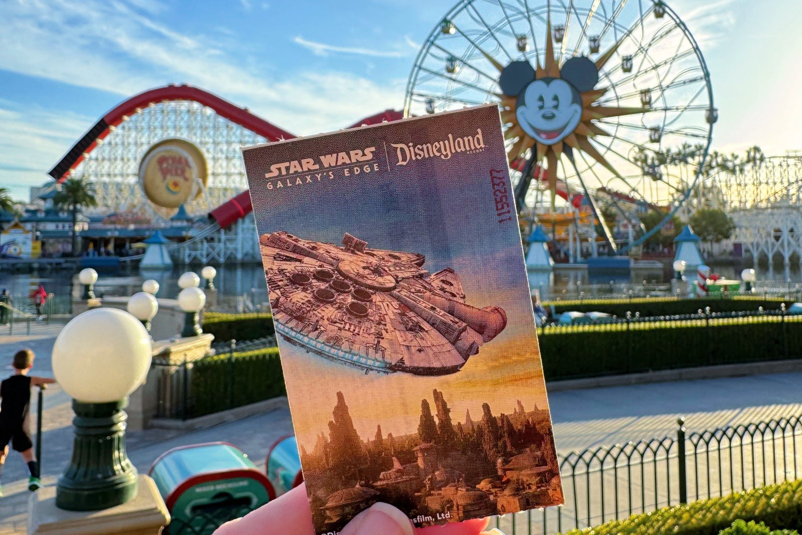 Park Ticket Disneyland