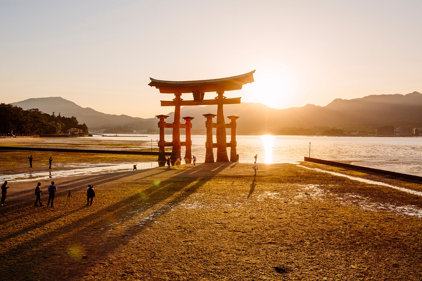 The best ways to travel to Japan with points and miles