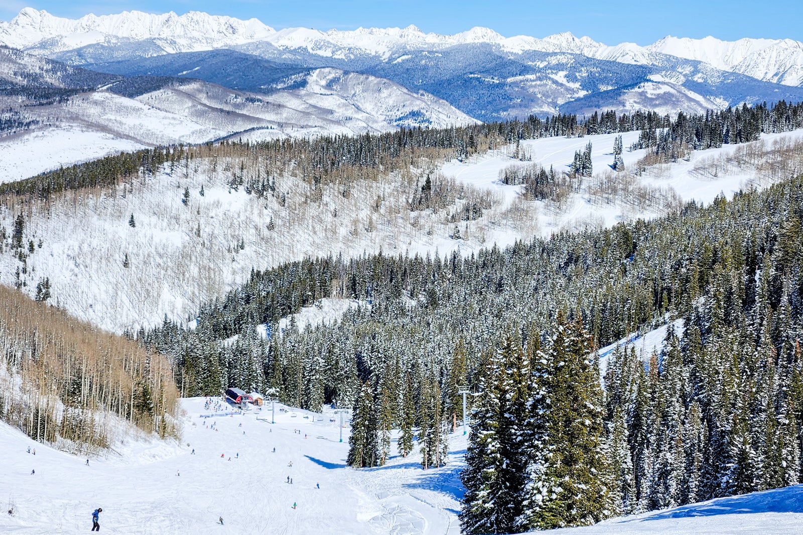 view of snowy mountains and evergreen forests from ski hill