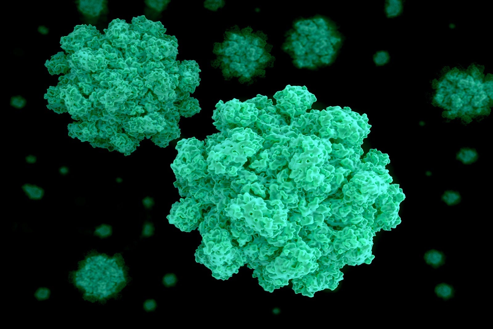 Norovirus is on the rise in 2025 – here’s how to protect yourself when you cruise