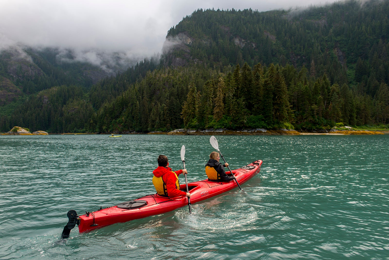 Passengers of the cruise ship Safari Endeavour kayaking in